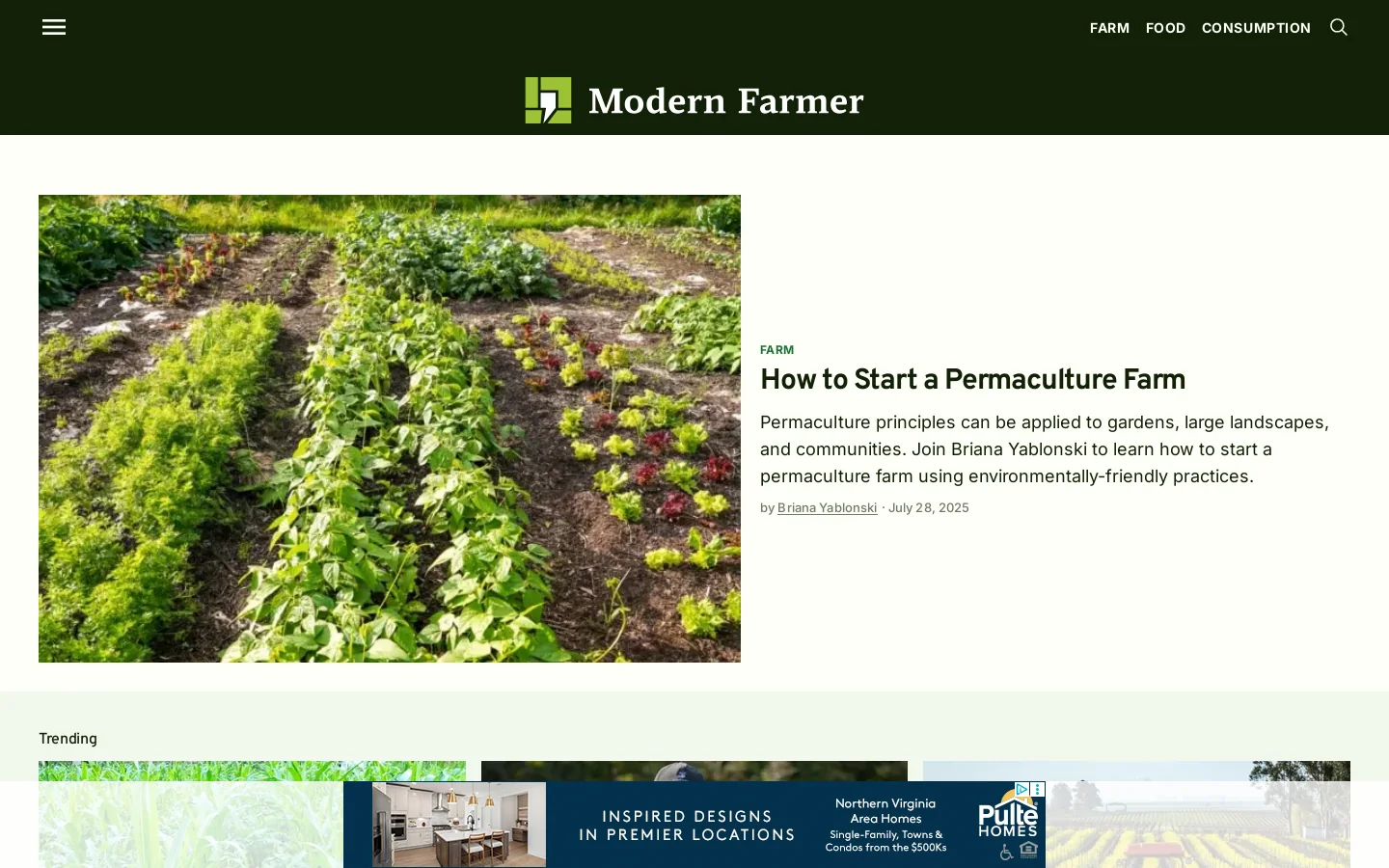 Modern Farmer Homepage screenshot