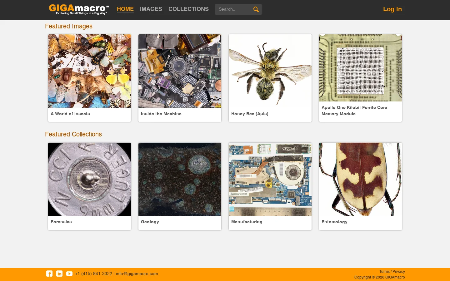 GIGAmacro: Exploring Small Things in a Big Way Homepage screenshot