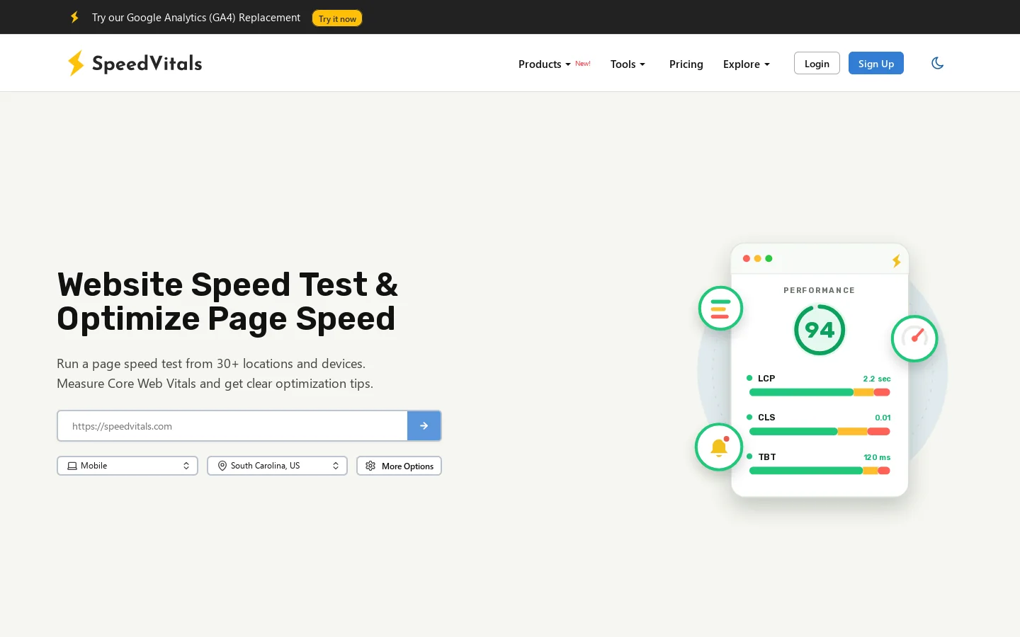 SpeedVitals Homepage screenshot