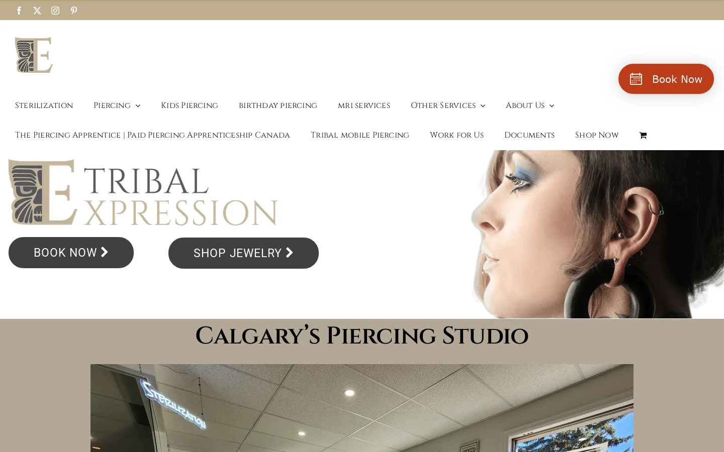 Tribal Expression Homepage screenshot