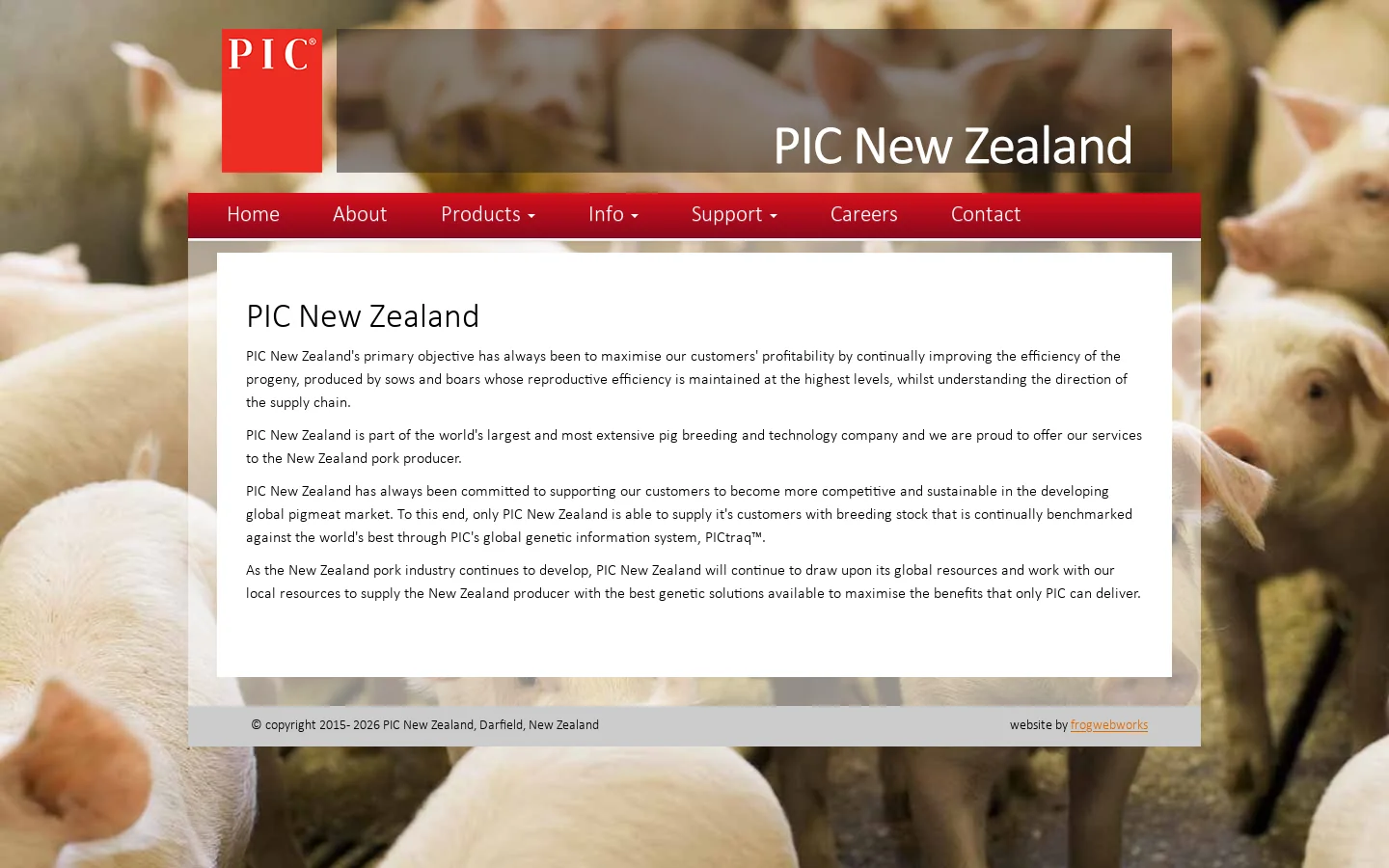 Welcome to PIC New Zealand : PIC NEW ZEALAND - Never Stop Improving Homepage screenshot