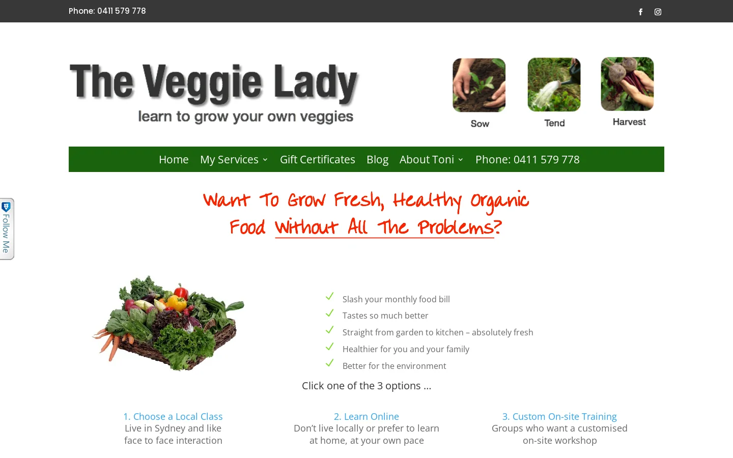 The Veggie Lady Homepage screenshot