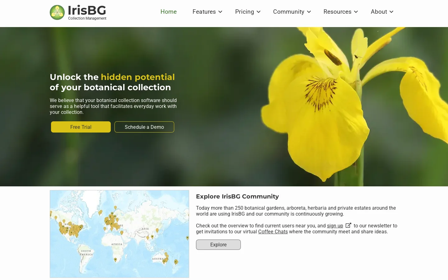 IrisBG Homepage screenshot
