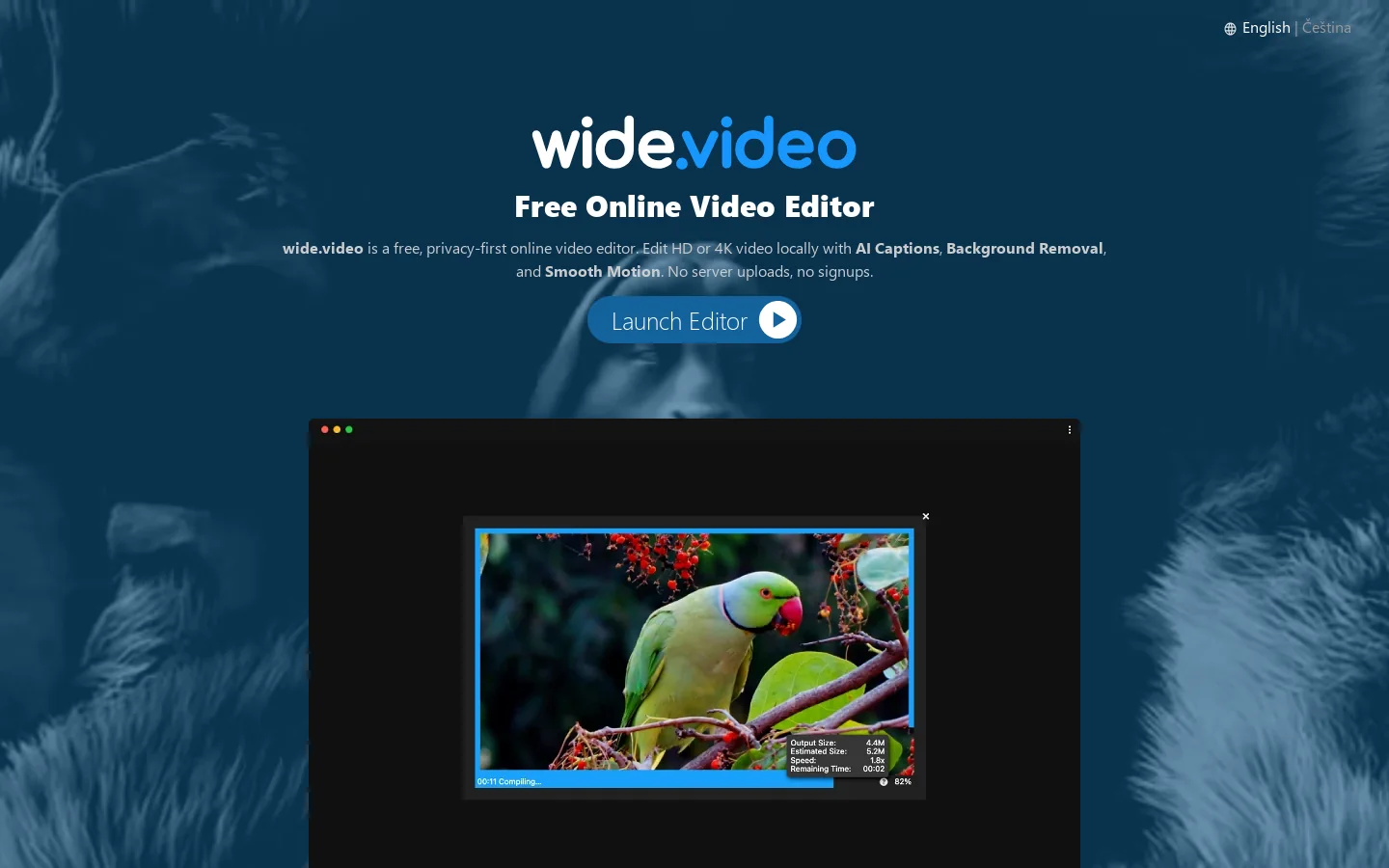 wide.video Homepage screenshot