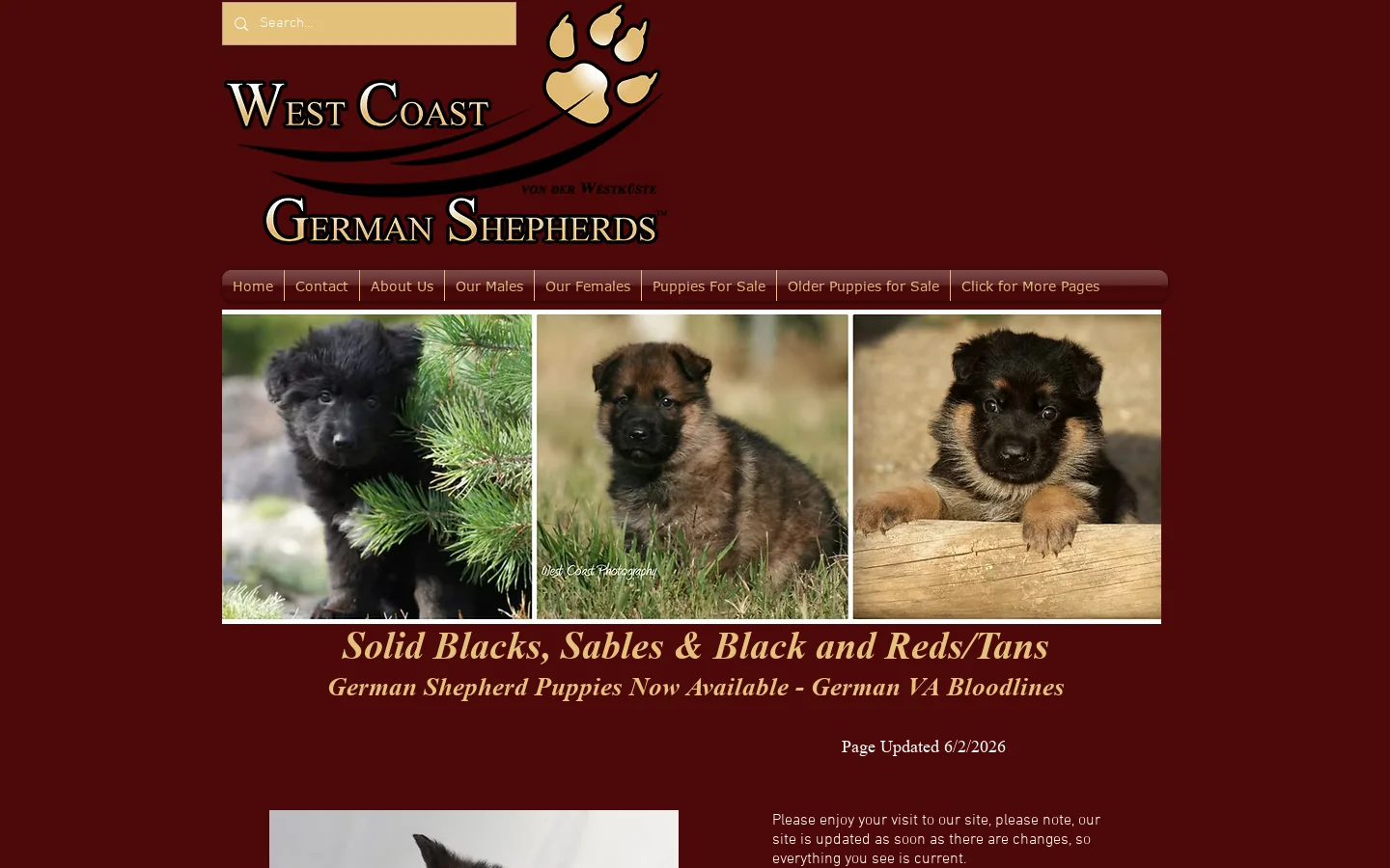 West Coast German Shepherds Homepage screenshot