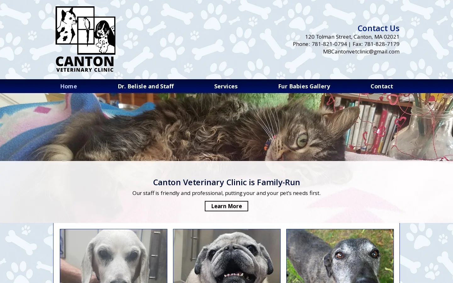 Canton Veterinary Clinic Homepage screenshot