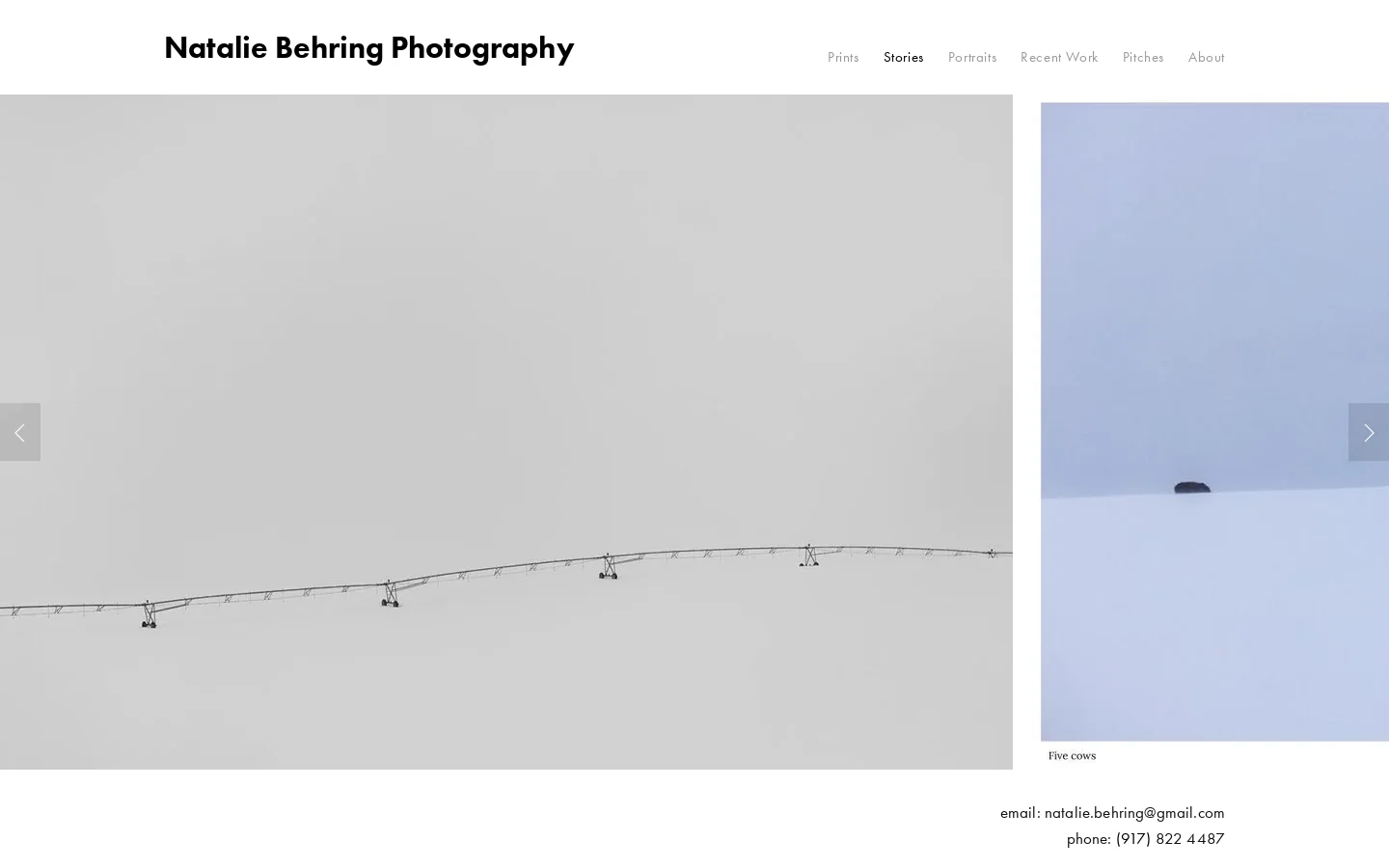 Natalie Behring Photography Homepage screenshot