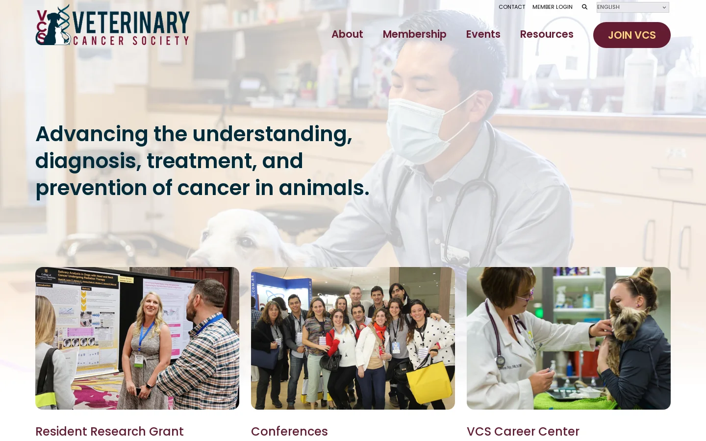 Home - Veterinary Cancer Society Homepage screenshot