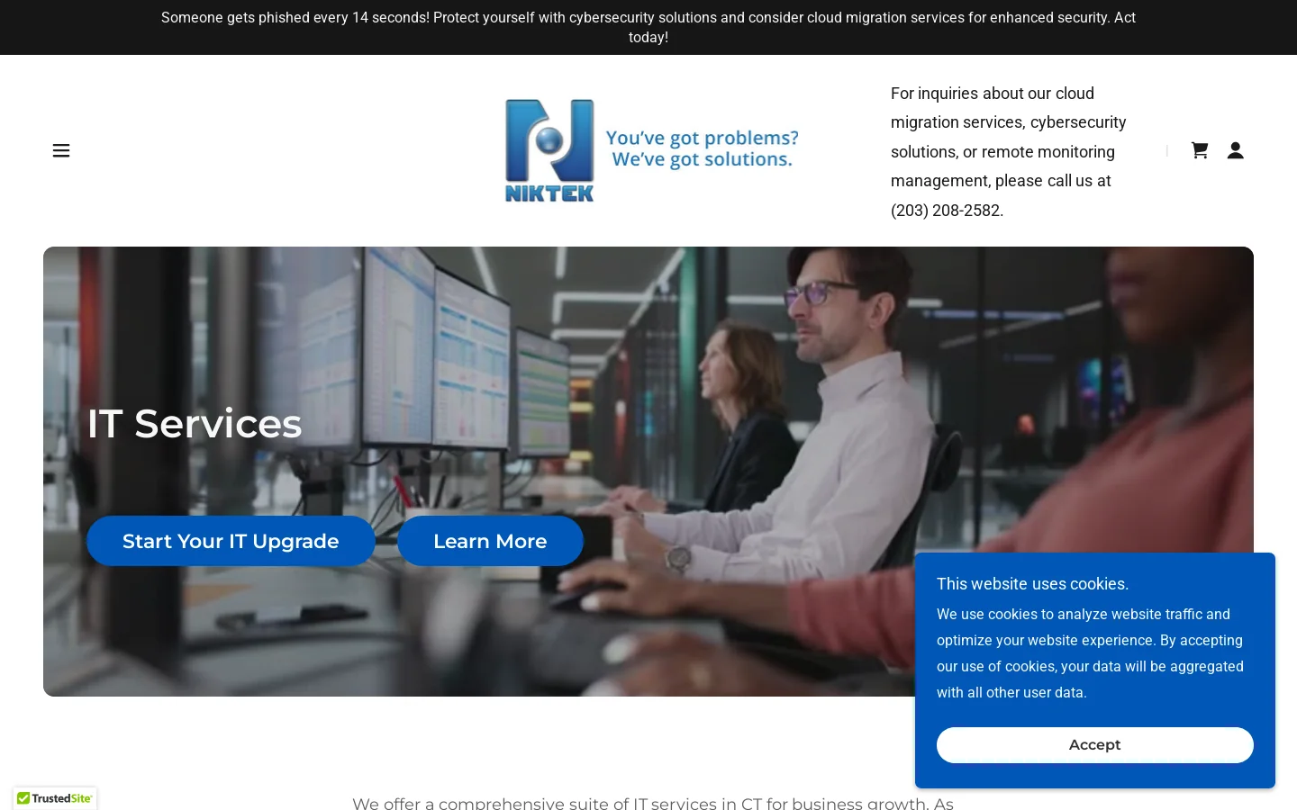 IT services Homepage screenshot
