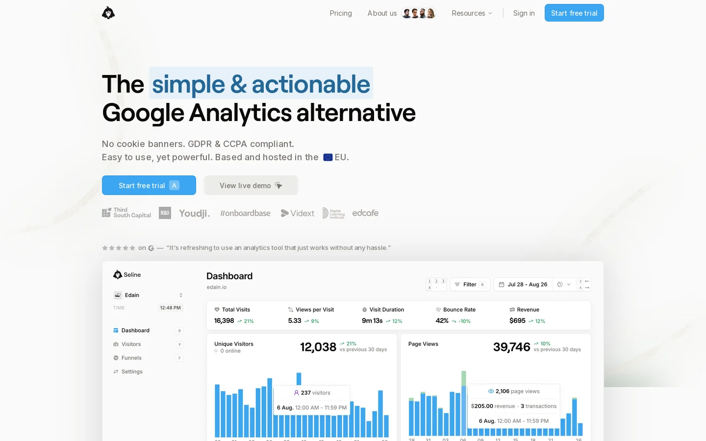 Seline Analytics Homepage screenshot