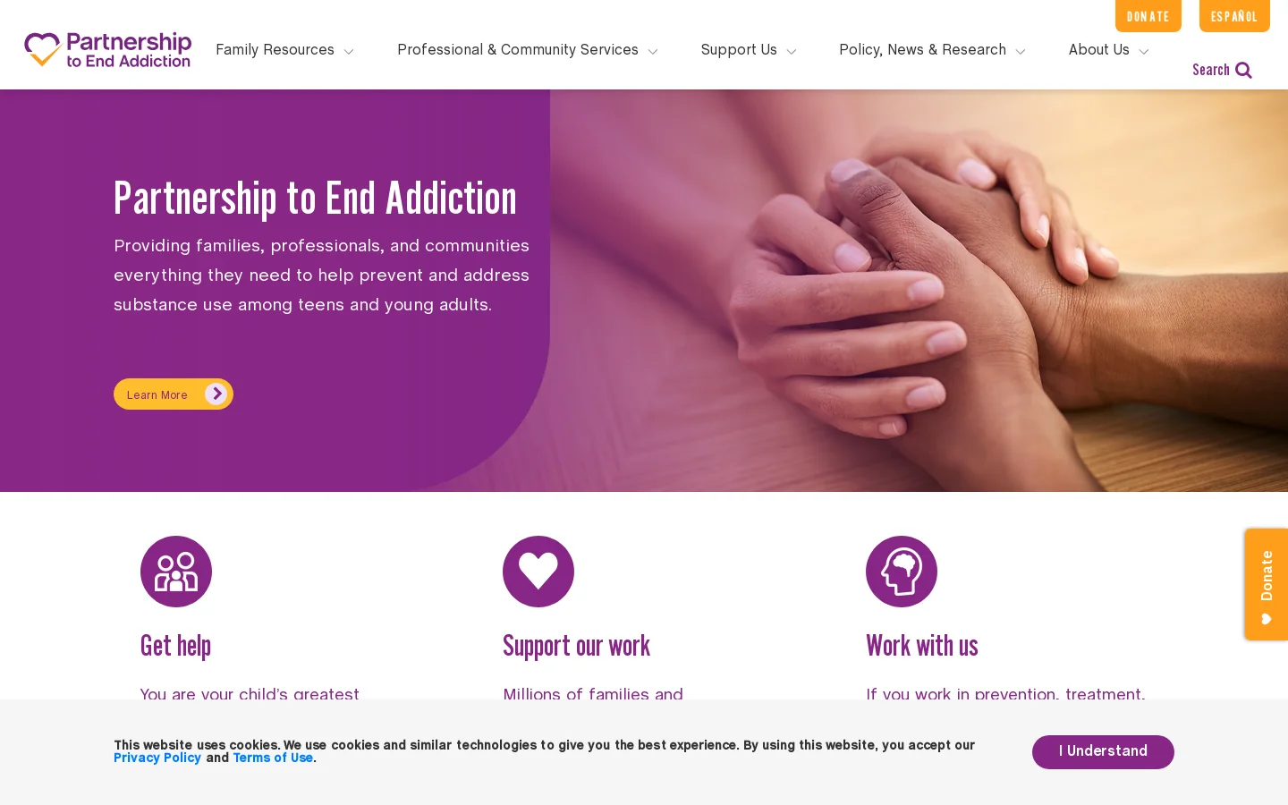 Partnership to End Addiction Homepage screenshot