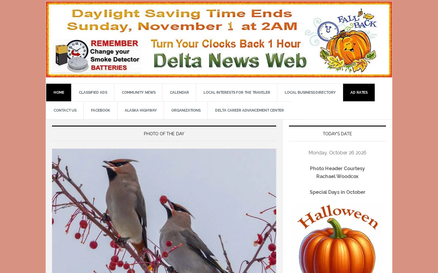 Delta News Web Homepage screenshot