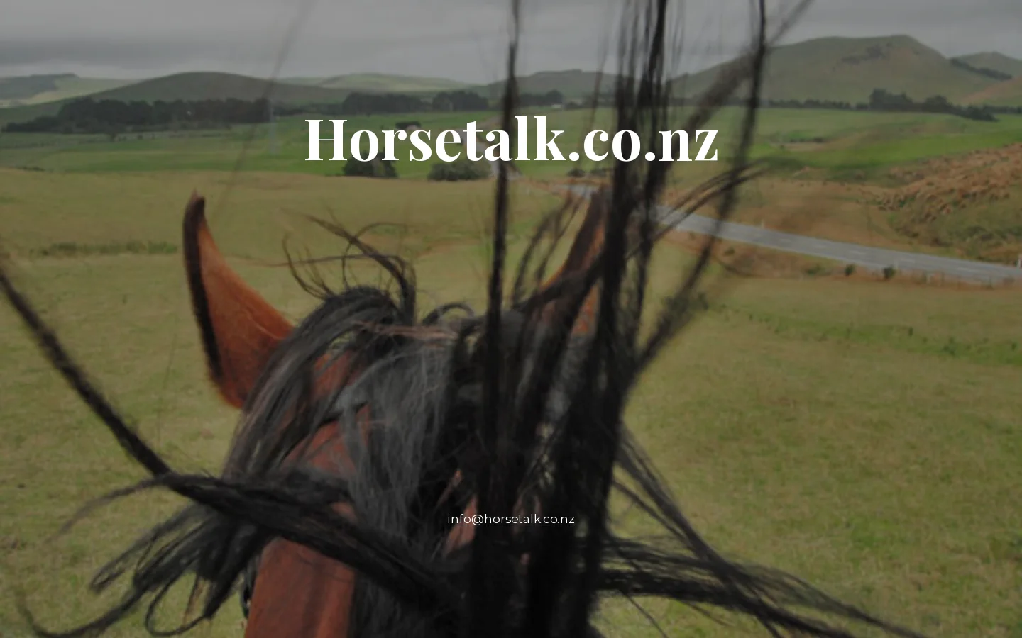Horsetalk.co.nz Homepage screenshot