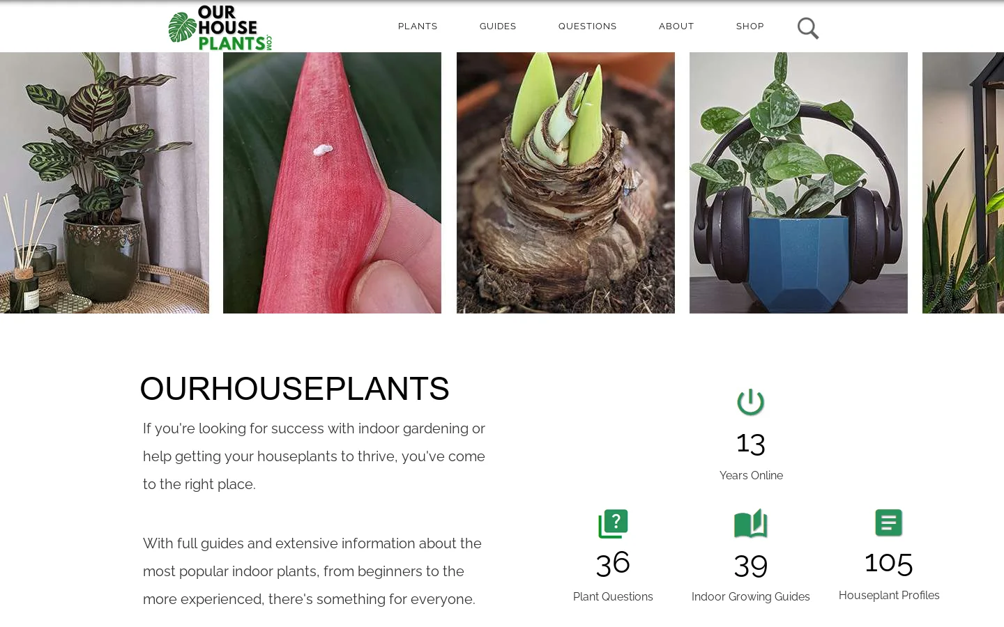 OurHouseplants Homepage screenshot