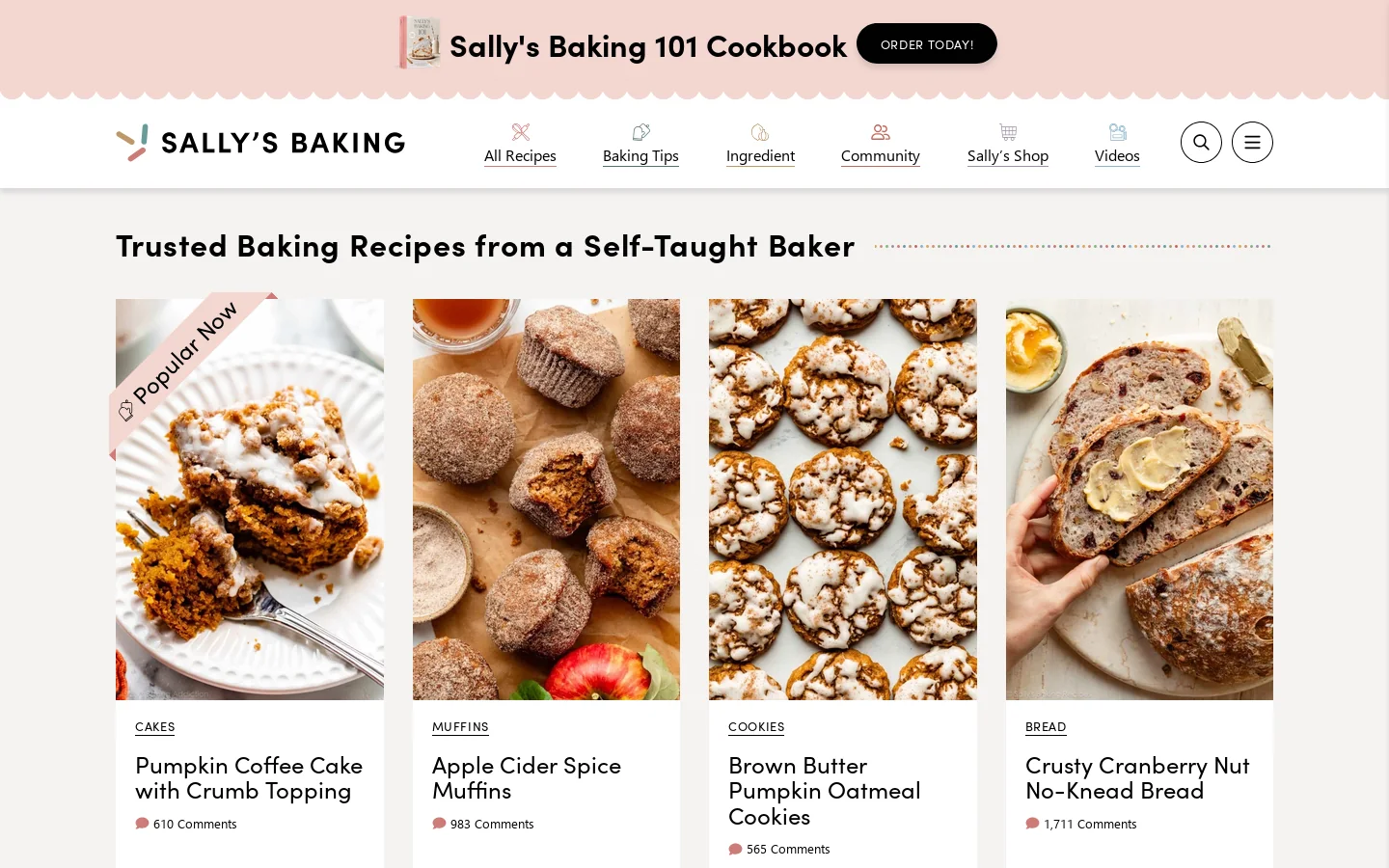 Sally's Baking Addiction Homepage screenshot