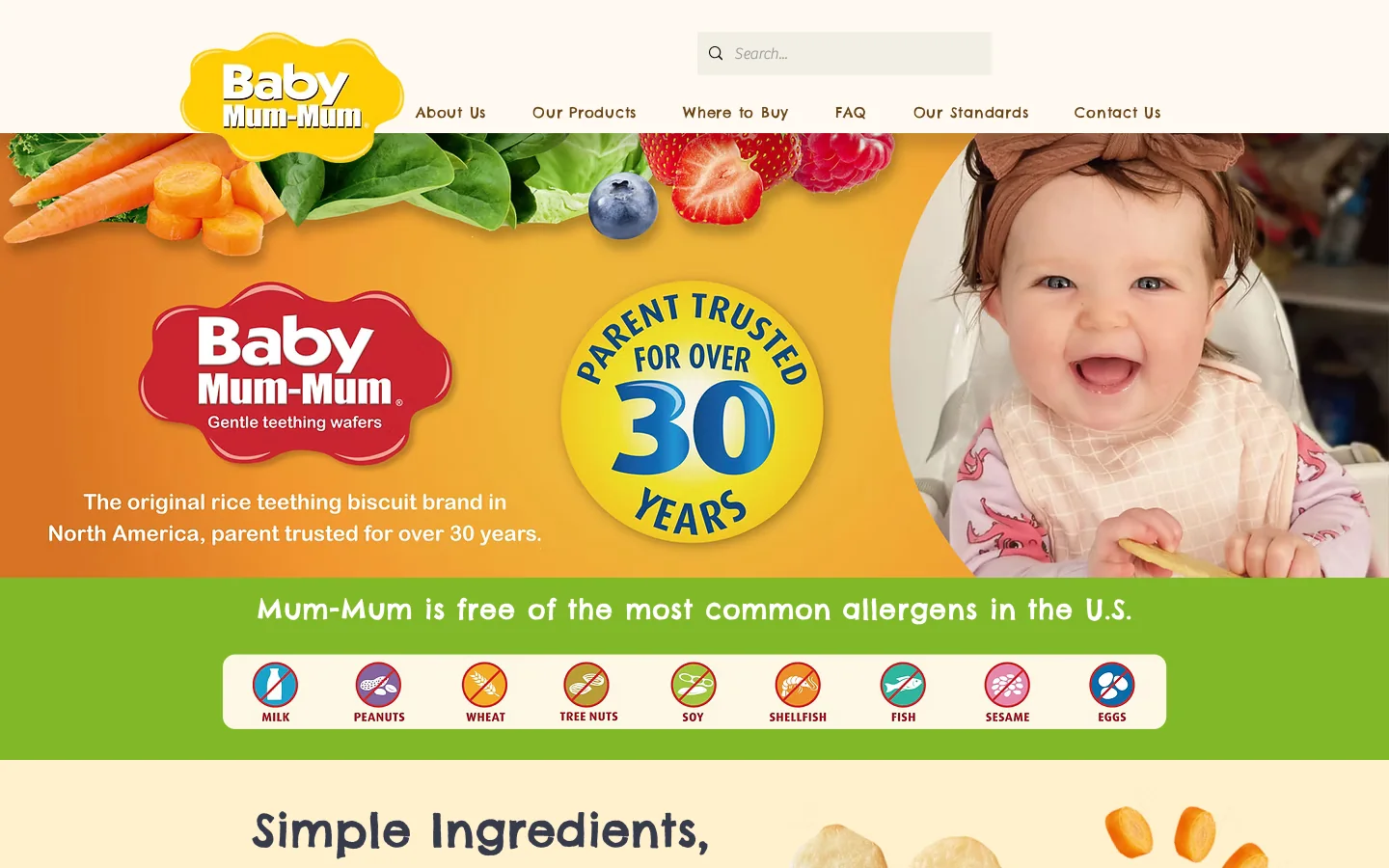 Healthy Rice Teethers for Babies & Toddlers | Baby Mum-Mum® Homepage screenshot