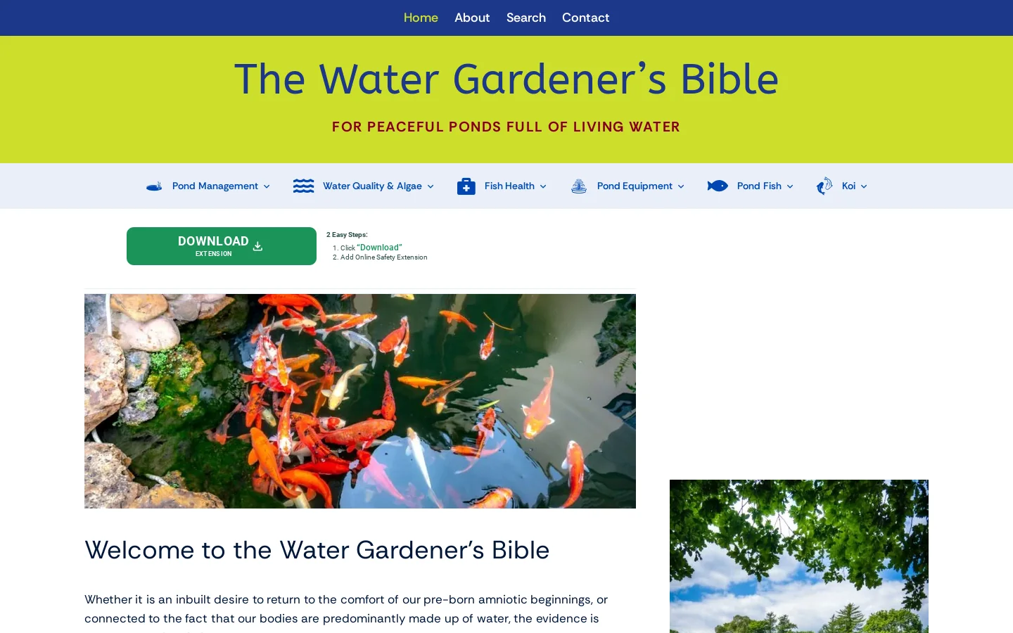 Home - The Water Gardener’s Bible - Beautiful ponds and fish Homepage screenshot