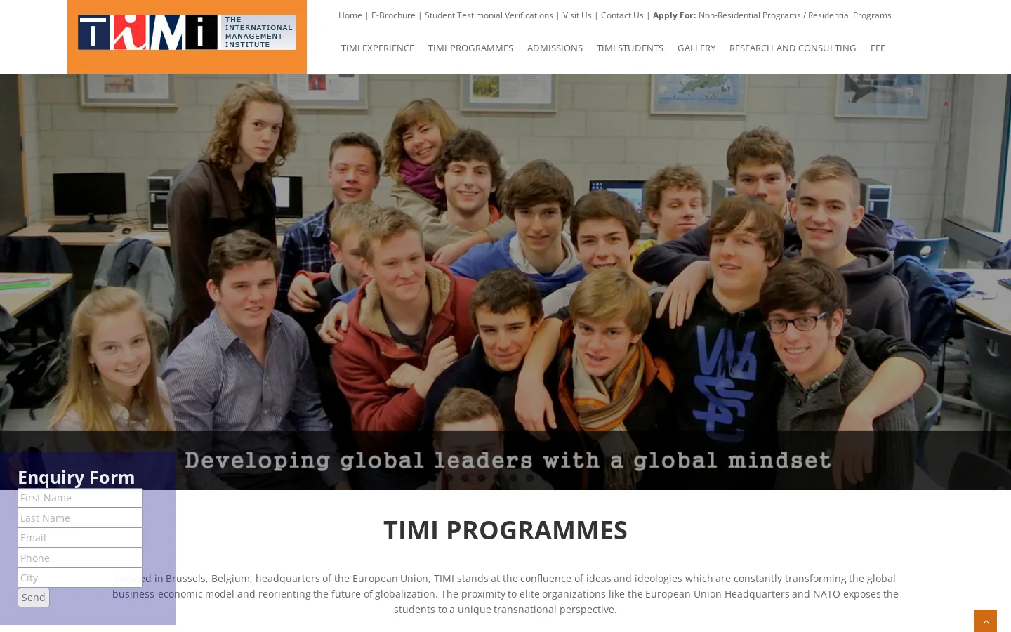 TIMI Homepage screenshot