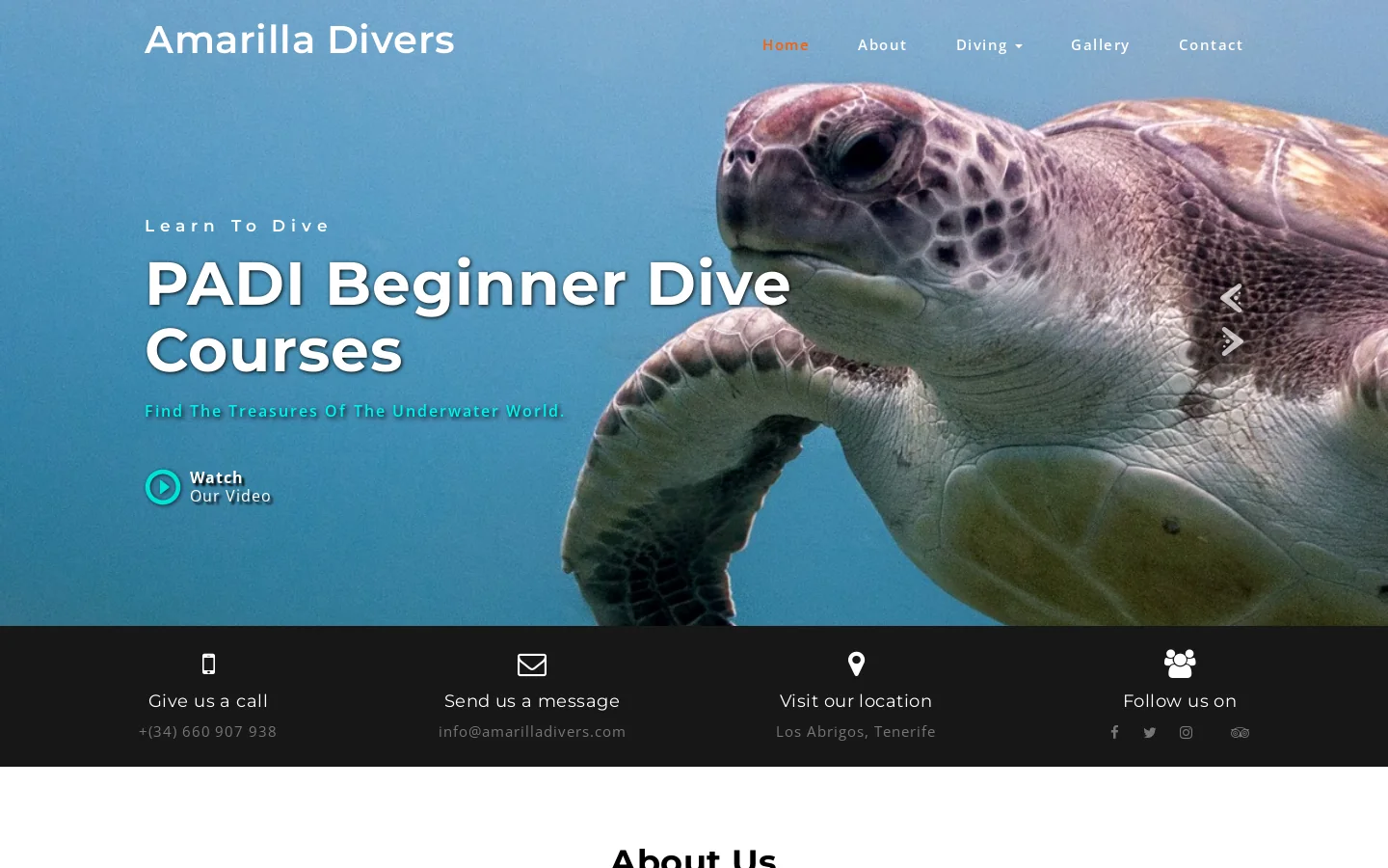 Diving Tenerife ~ Los Abrigos ~ Near Golf Del Sur. Tenerife Scuba diving. Homepage screenshot