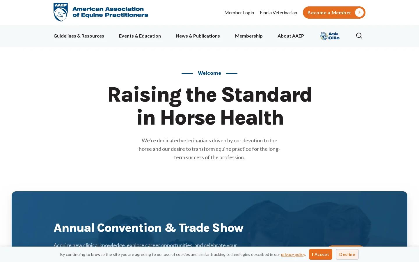 AAEP Homepage screenshot