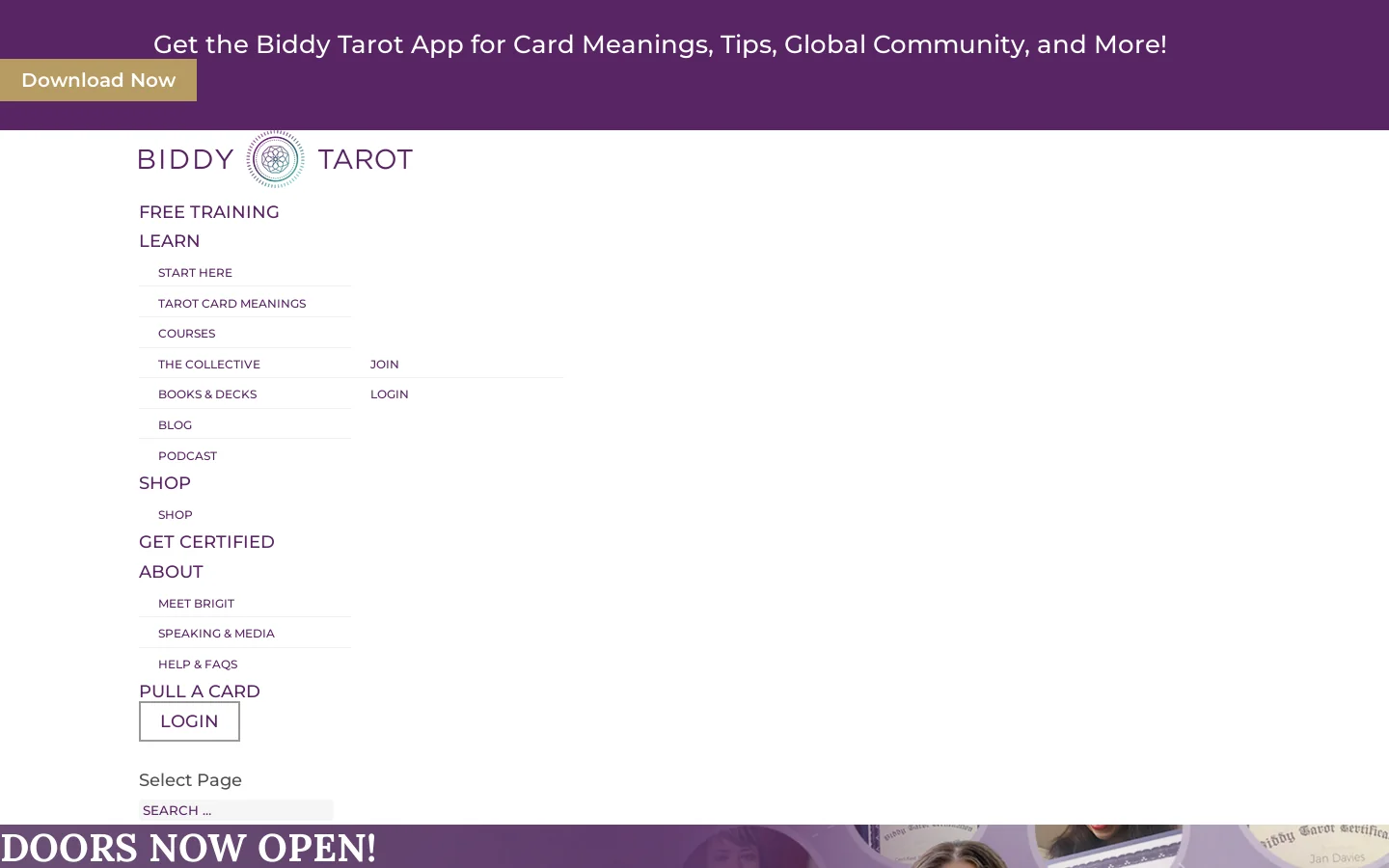 Biddy Tarot Homepage screenshot