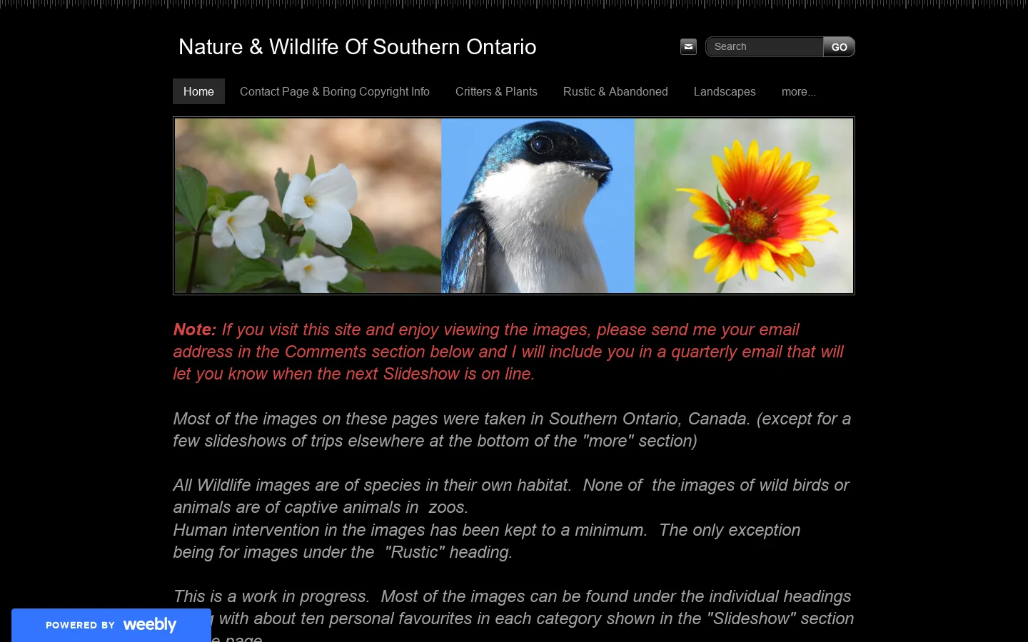 Nature & Wildlife Of Southern Ontario - Home Homepage screenshot