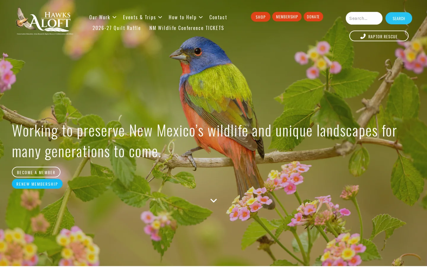 Hawks Aloft, Inc Homepage screenshot