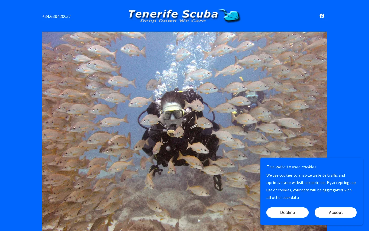 Diving in Tenerife - Family-Friendly PADI Courses & Adventures Homepage screenshot