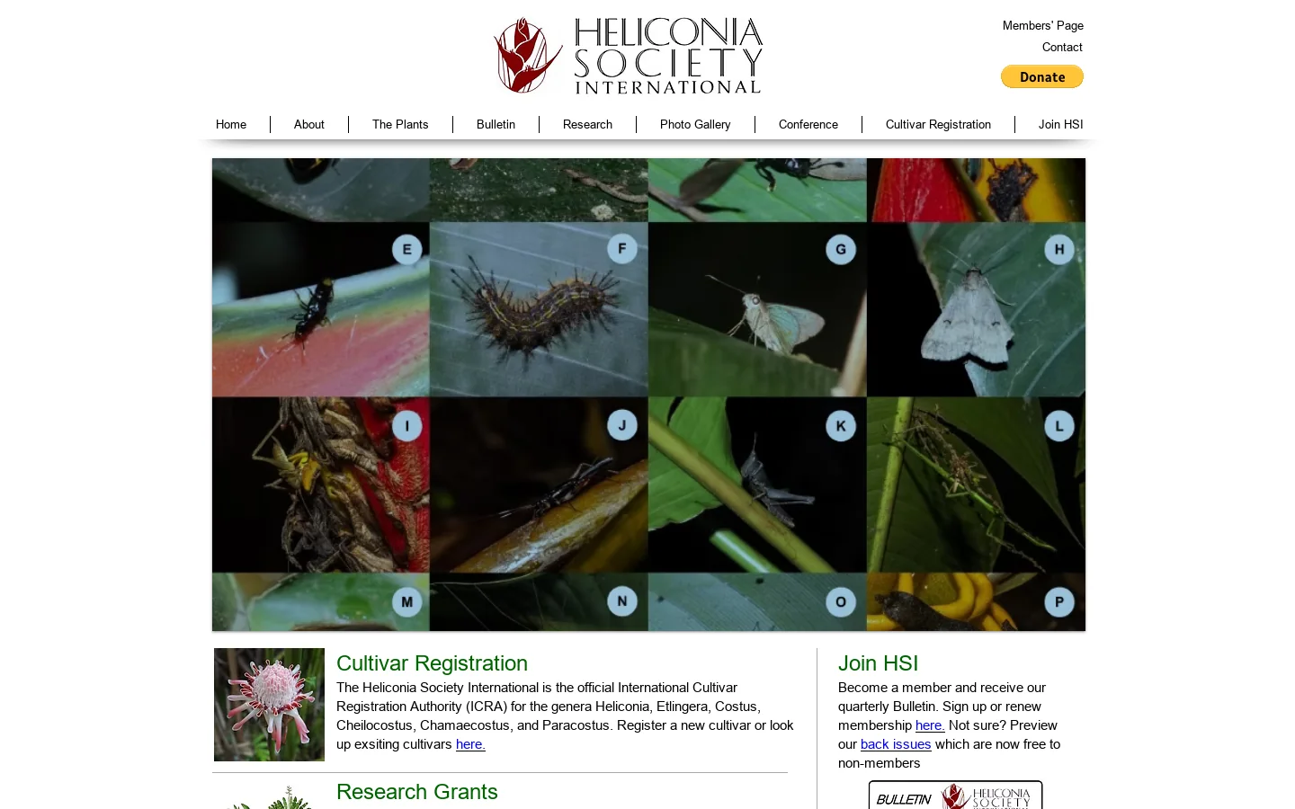 Heliconia.org Homepage screenshot