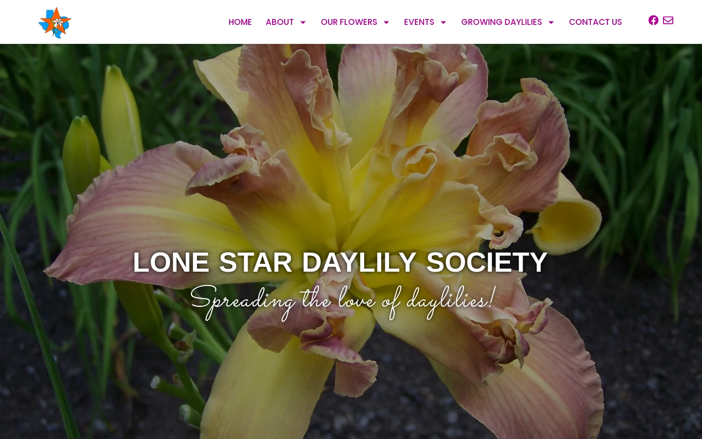 Lone Star Daylily Society Homepage screenshot