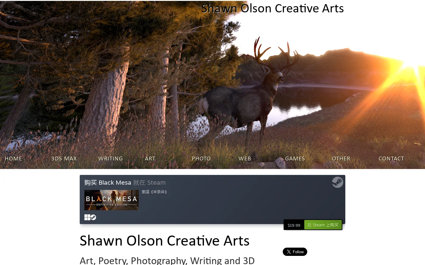 Shawn Olson Creative Arts Homepage screenshot