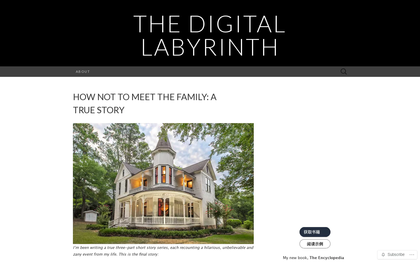 The Digital Labyrinth Homepage screenshot