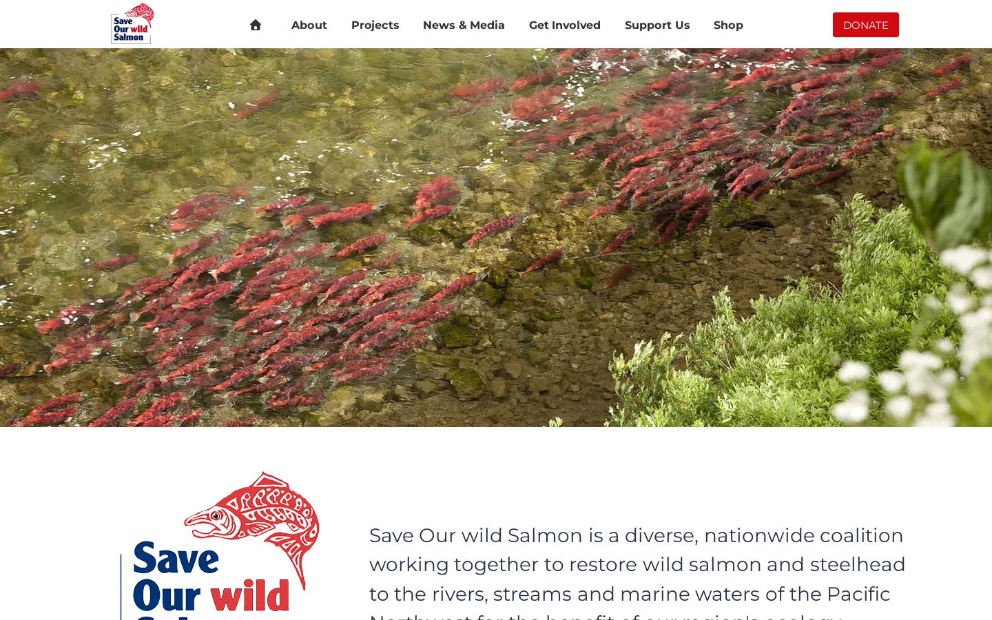Save Our Wild Salmon - Home Homepage screenshot