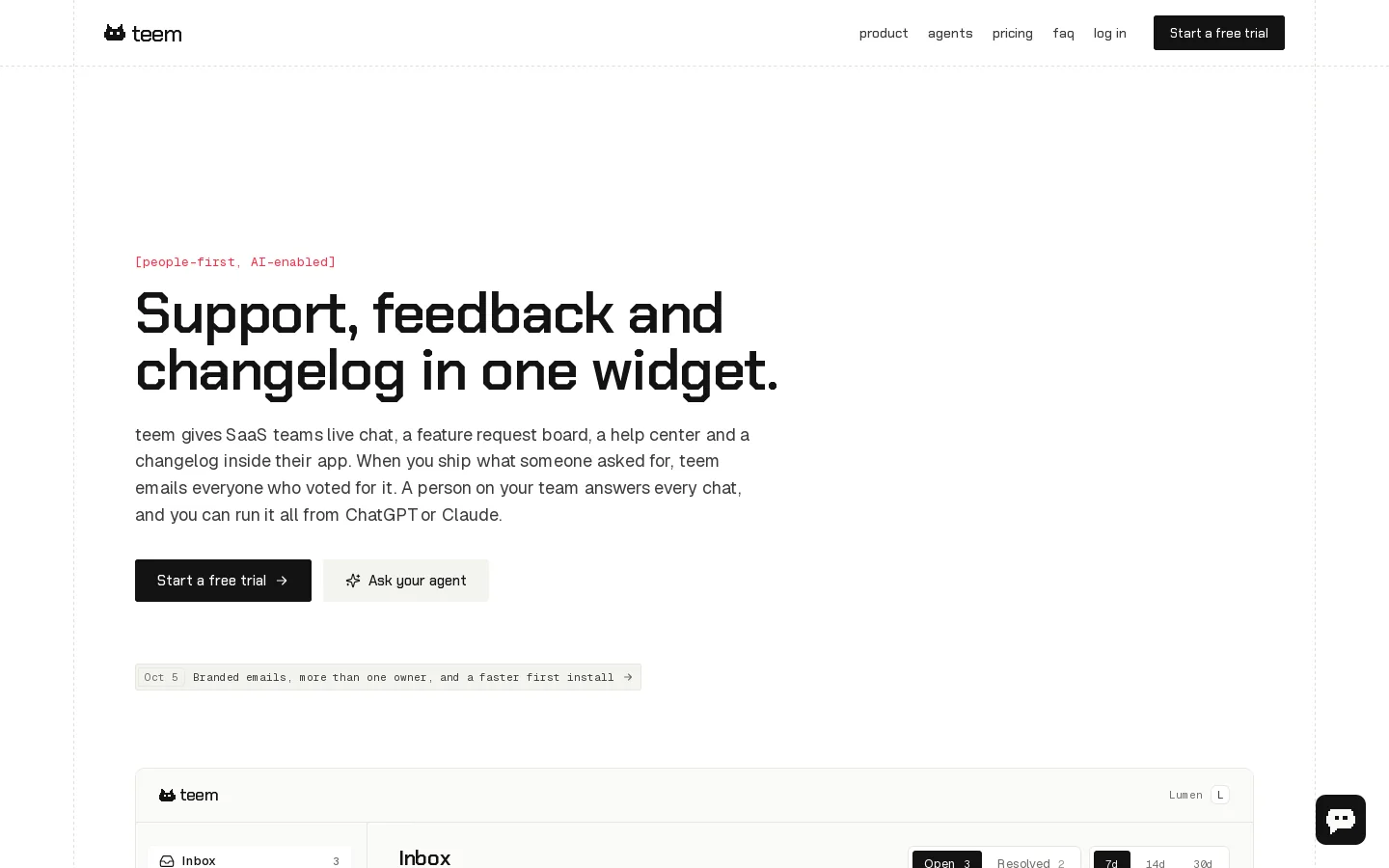 teem Homepage screenshot