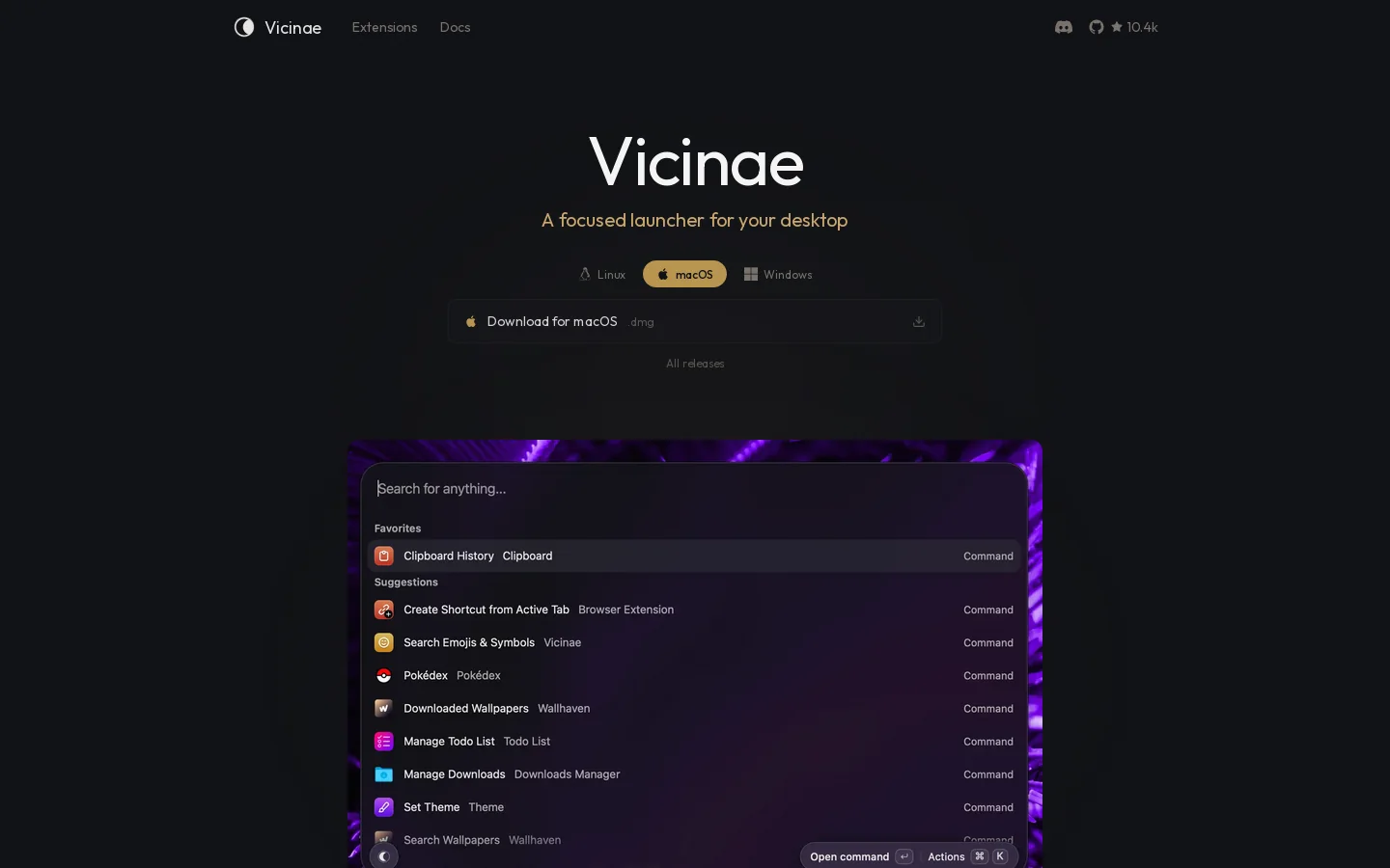 Vicinae Homepage screenshot