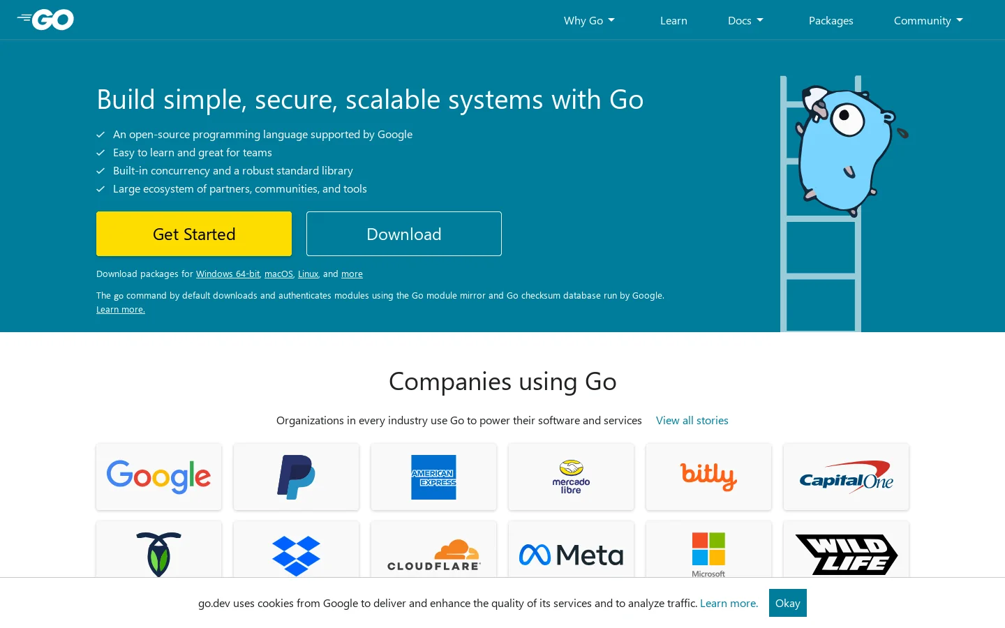 The Go Programming Language Homepage screenshot