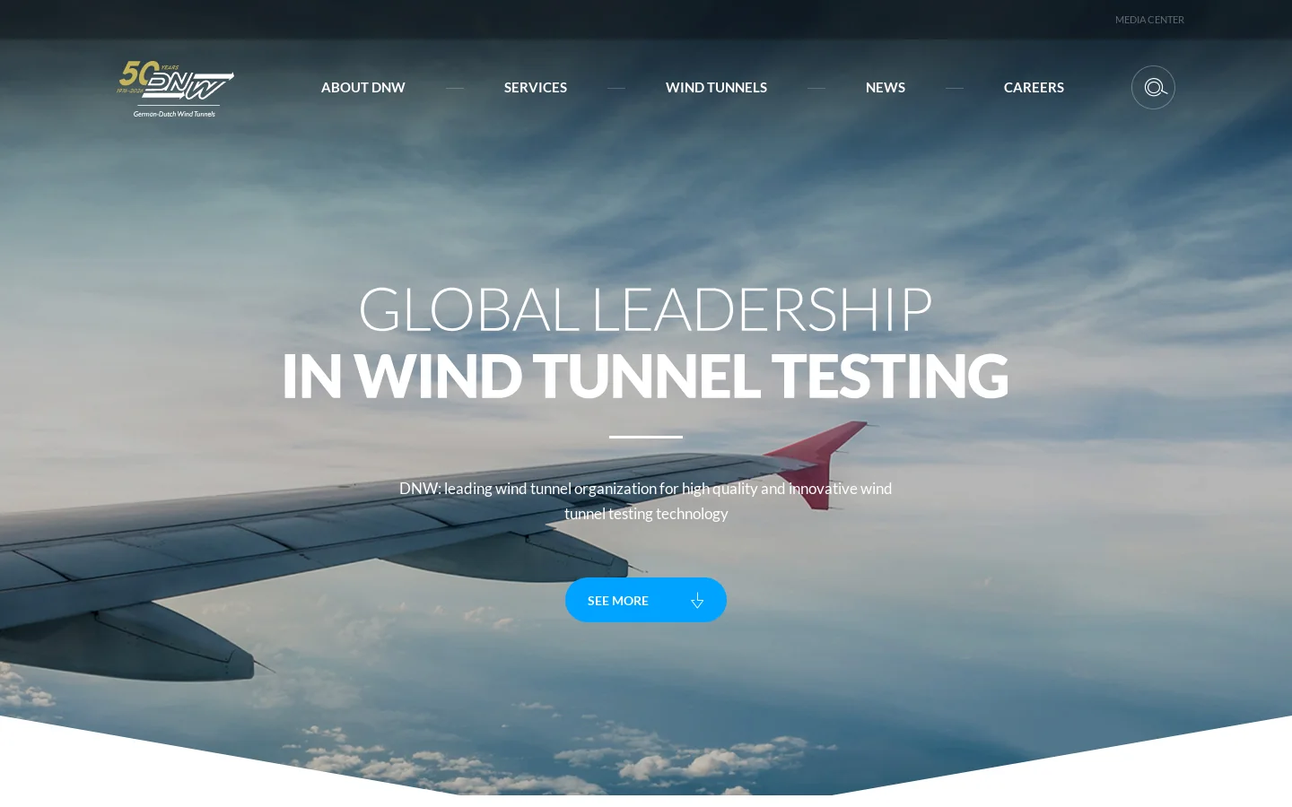 DNW » Home Homepage screenshot