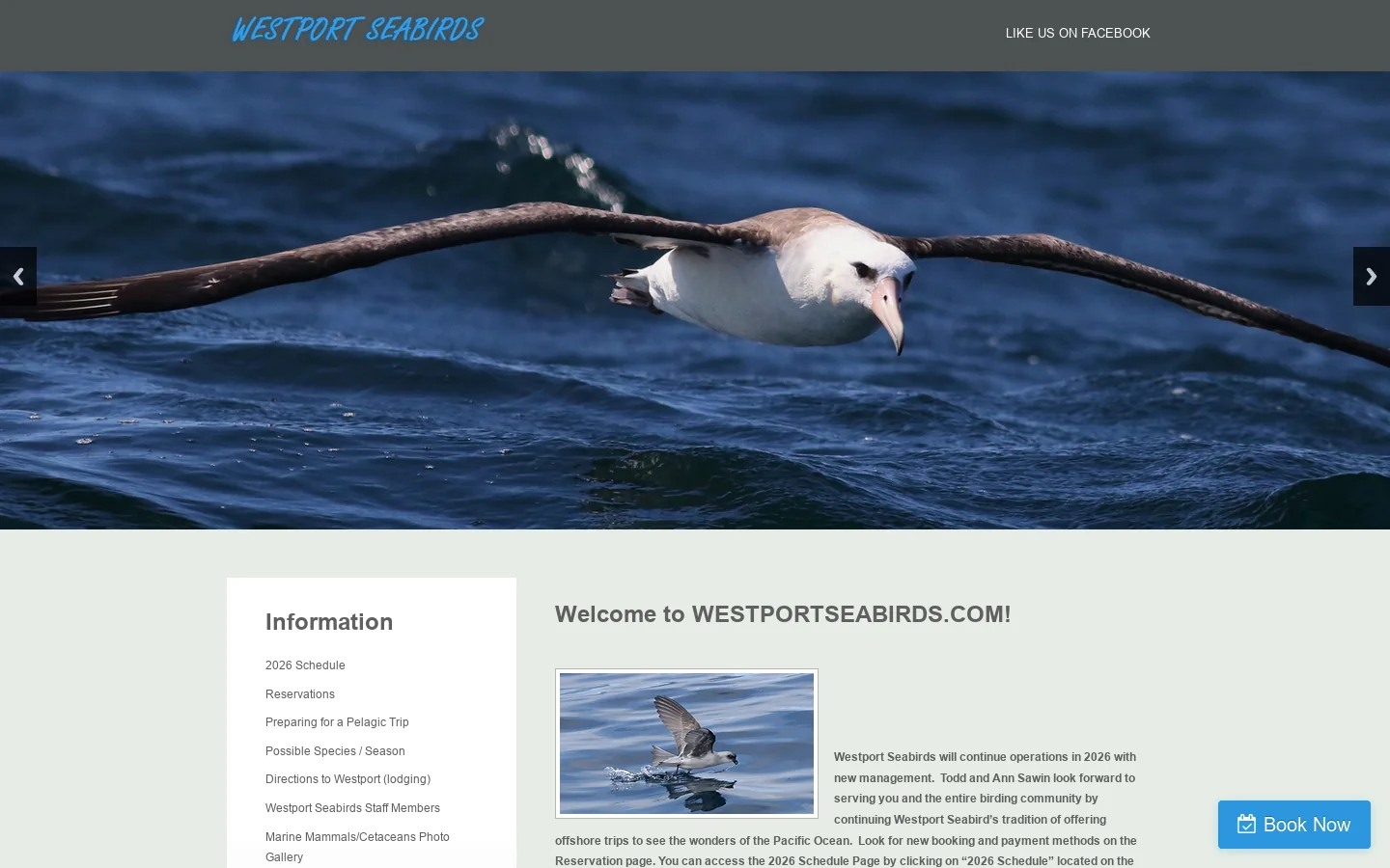 Westport Seabirds Homepage screenshot