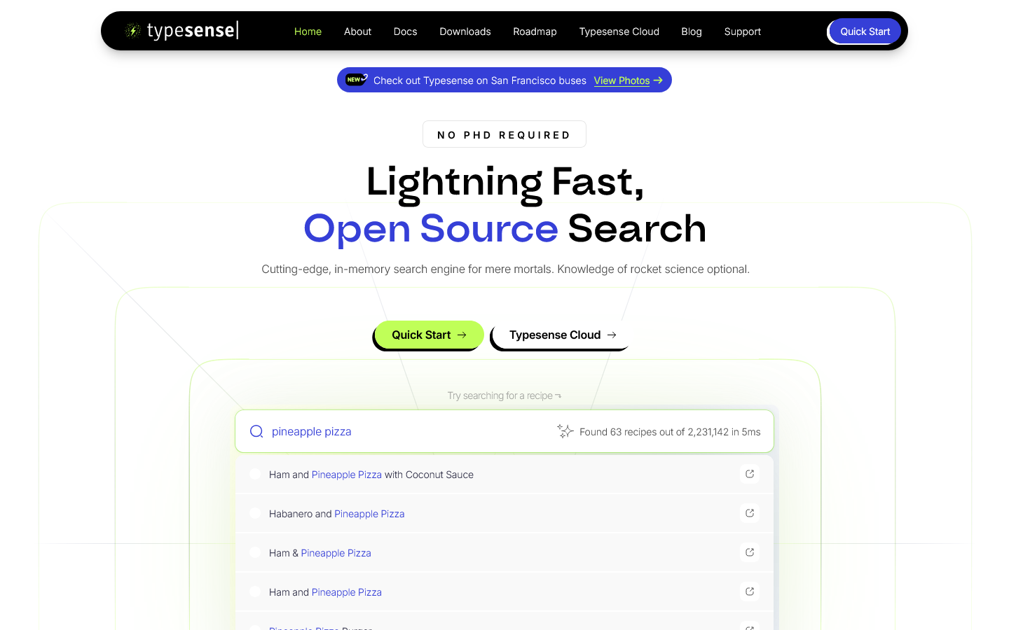 Typesense Homepage screenshot