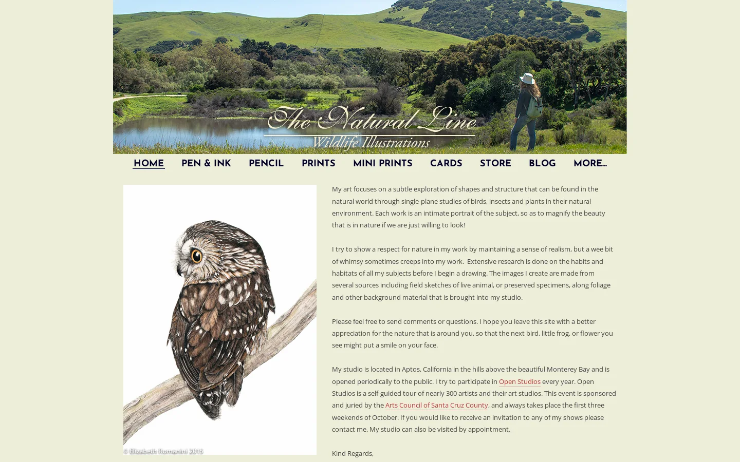 Home Homepage screenshot