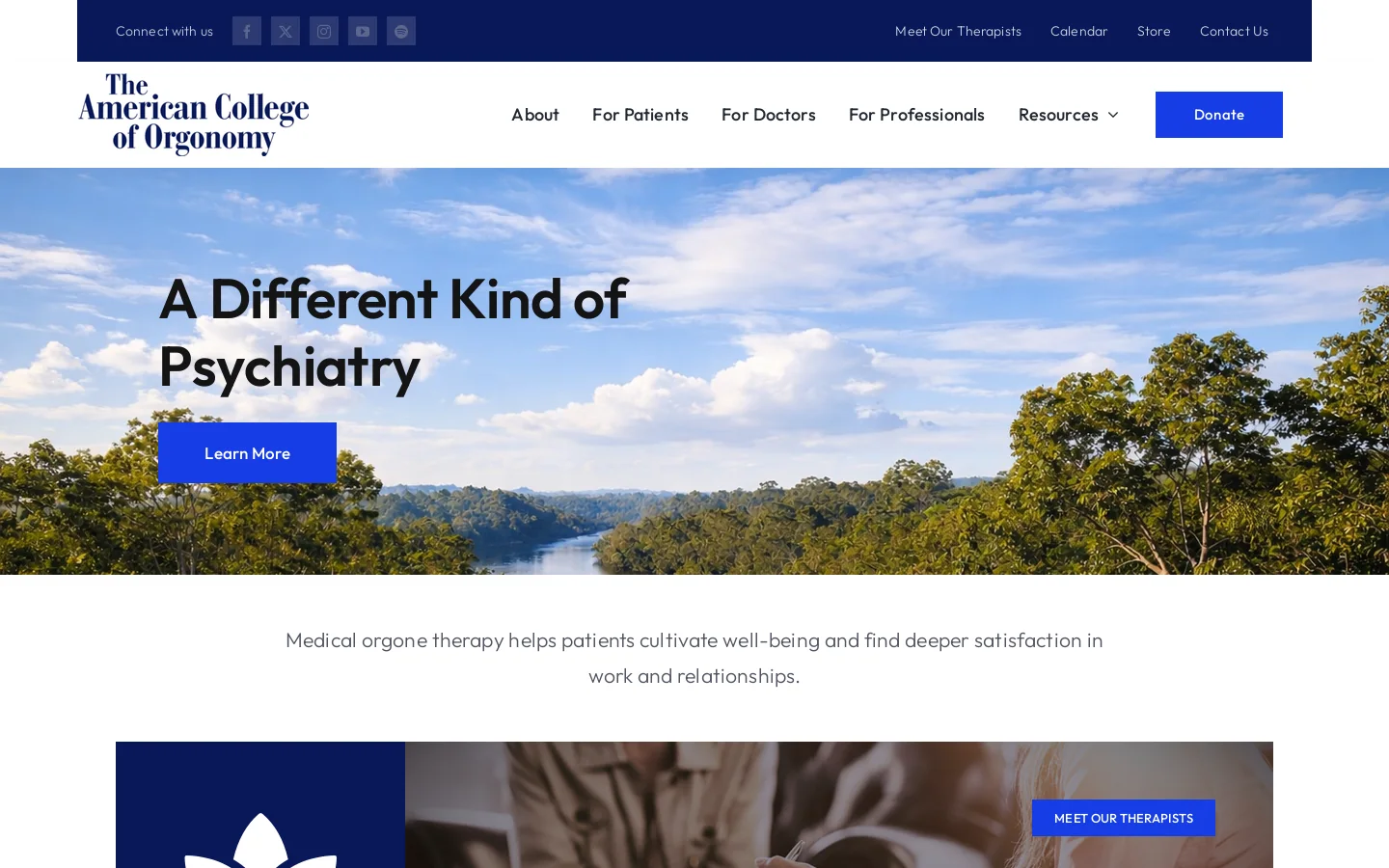 Discover Orgonomy: - Unlocking the Power of Life Energy for Healing and Well-Being Homepage screenshot