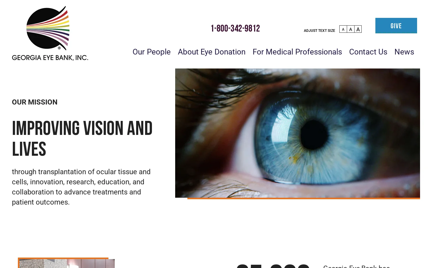 Georgia Eye Bank, Inc Homepage screenshot