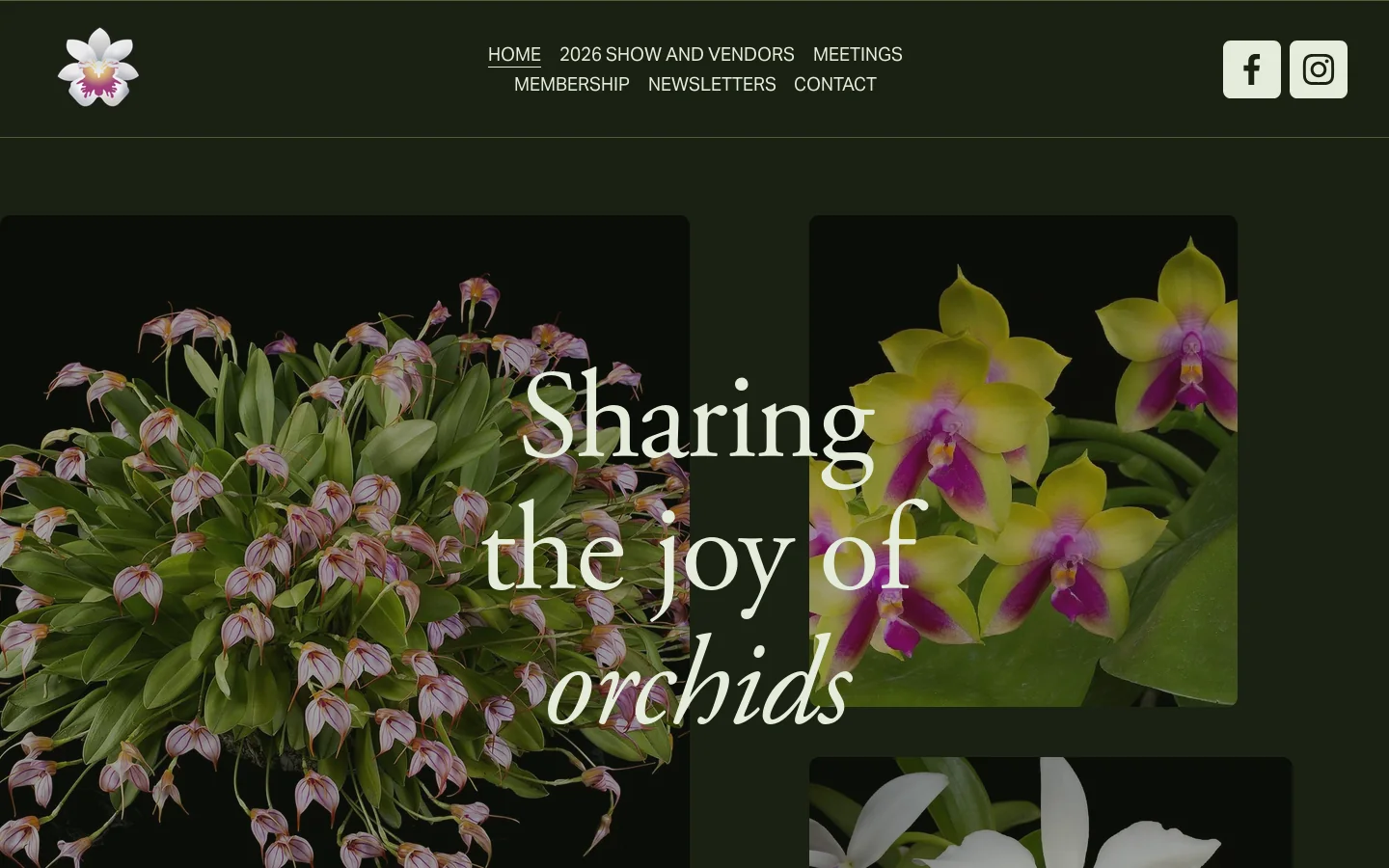 Victoria Orchid Society Homepage screenshot