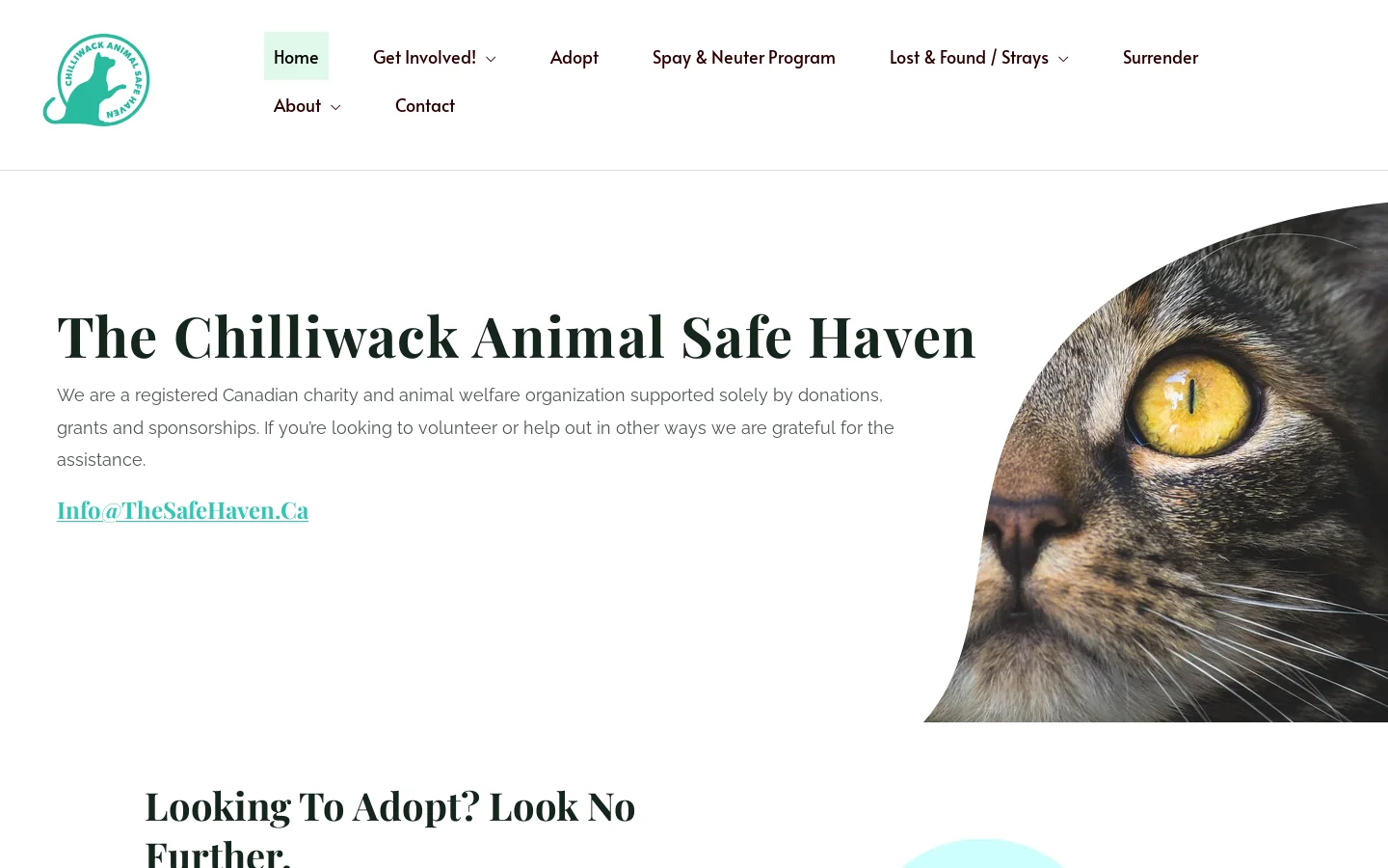 Home - The Chilliwack Animal Safe Haven Homepage screenshot