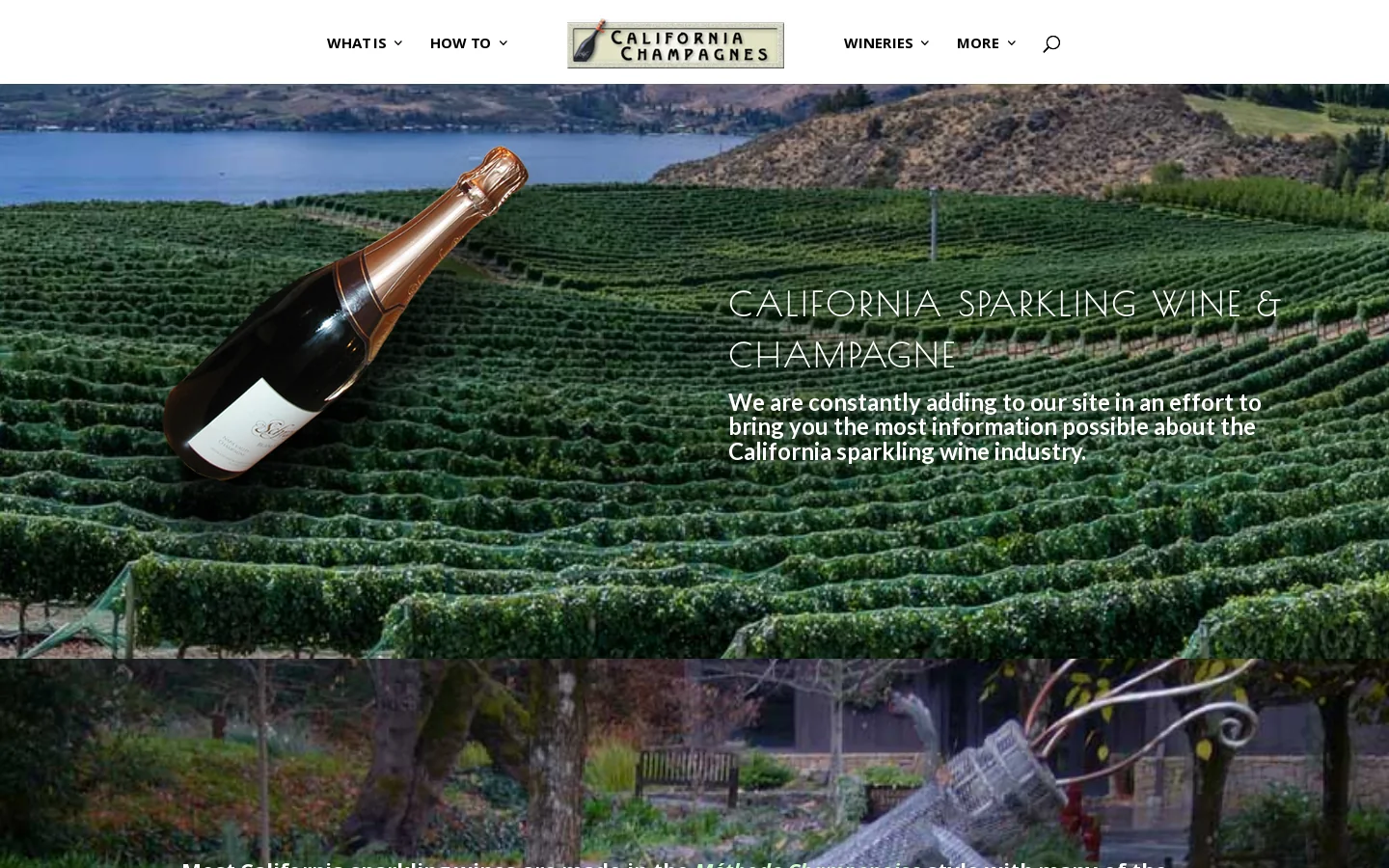 California Sparkling Wine & Champagne Wineries Homepage screenshot