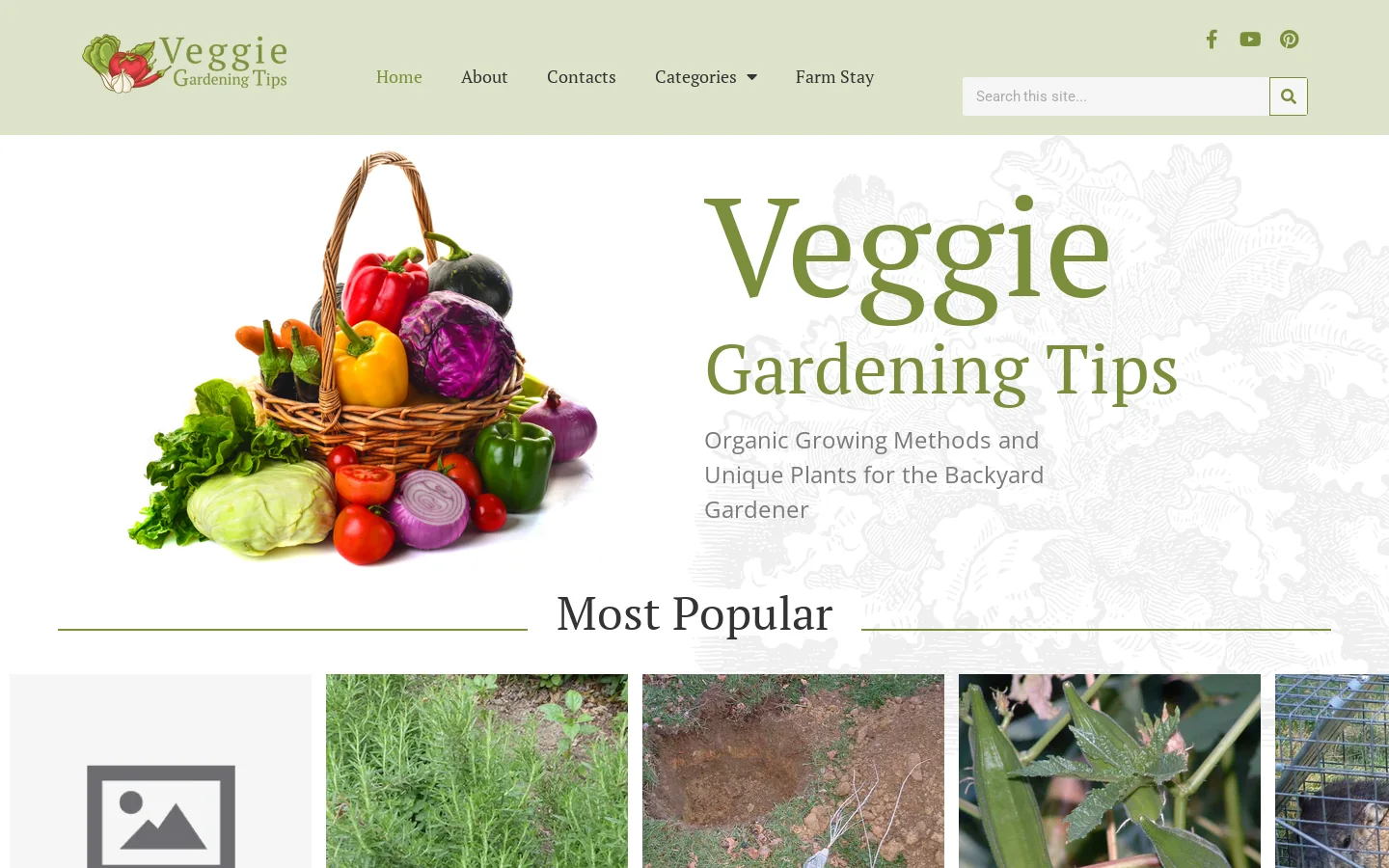 Veggie Gardening Tips Homepage screenshot