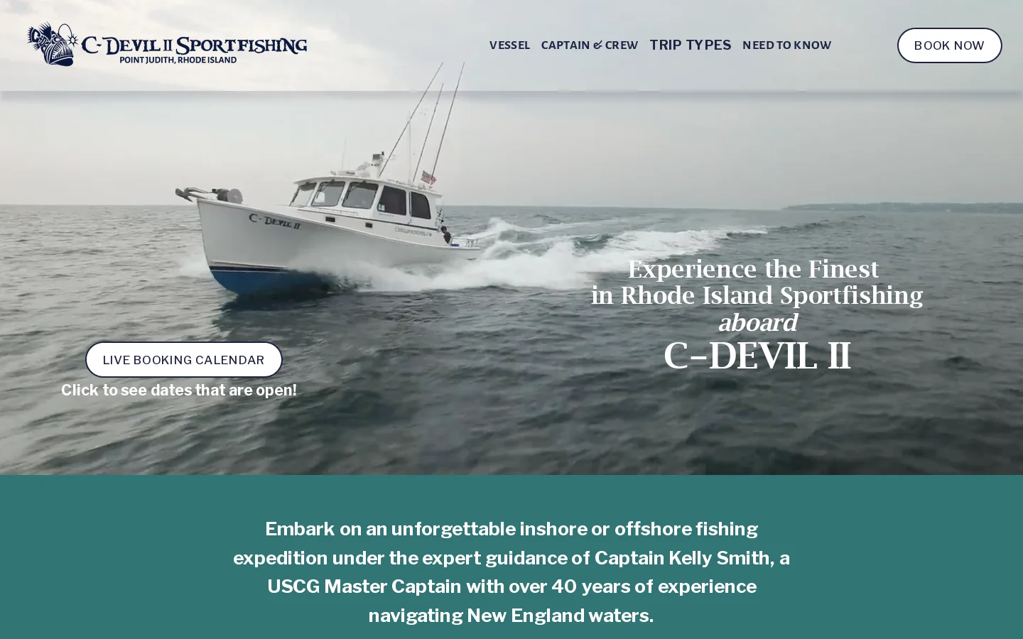 C-Devil II Sportfishing Homepage screenshot