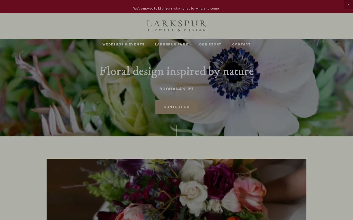 Larkspur Homepage screenshot