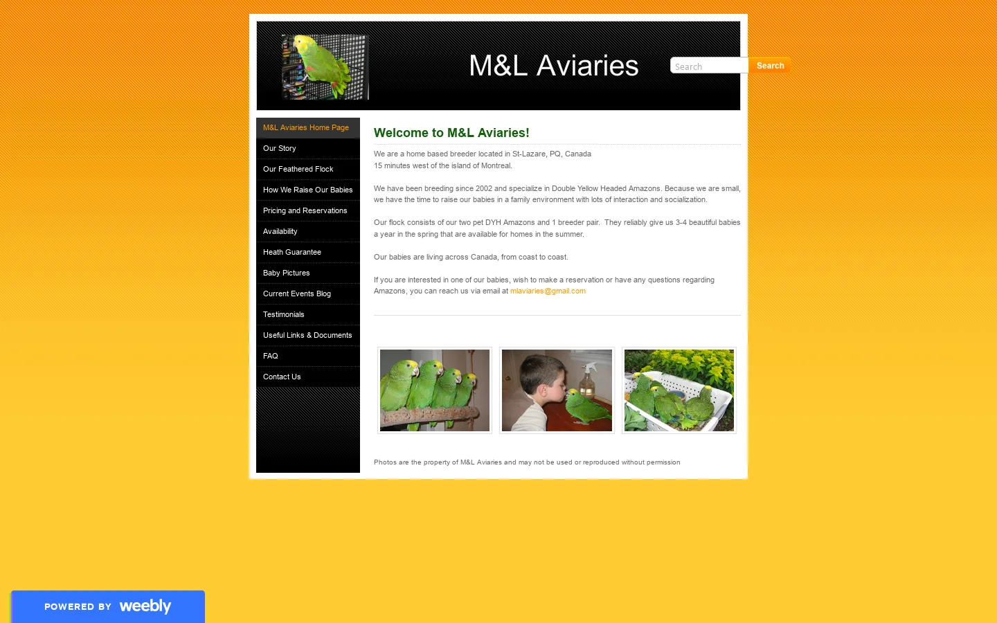 M&L Aviaries Homepage screenshot