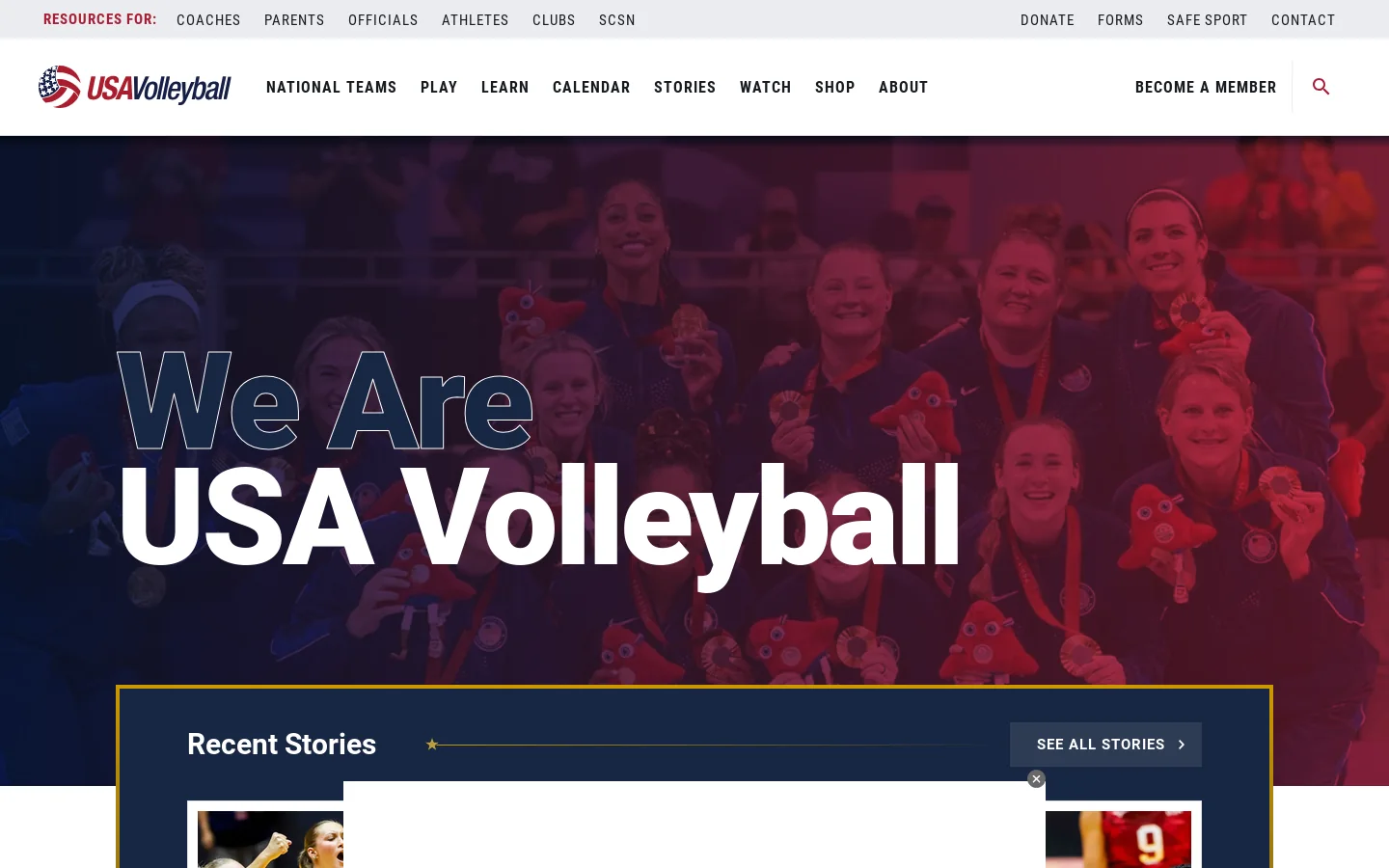 USA Volleyball Homepage screenshot